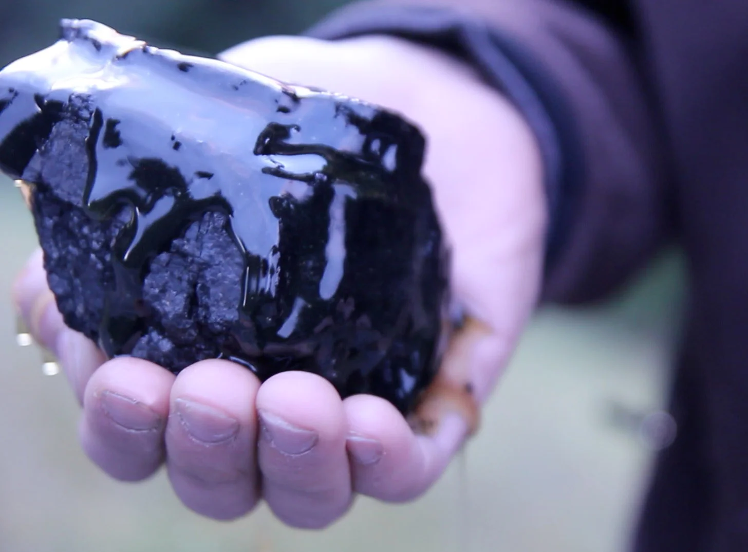 Coal in hand .jpg