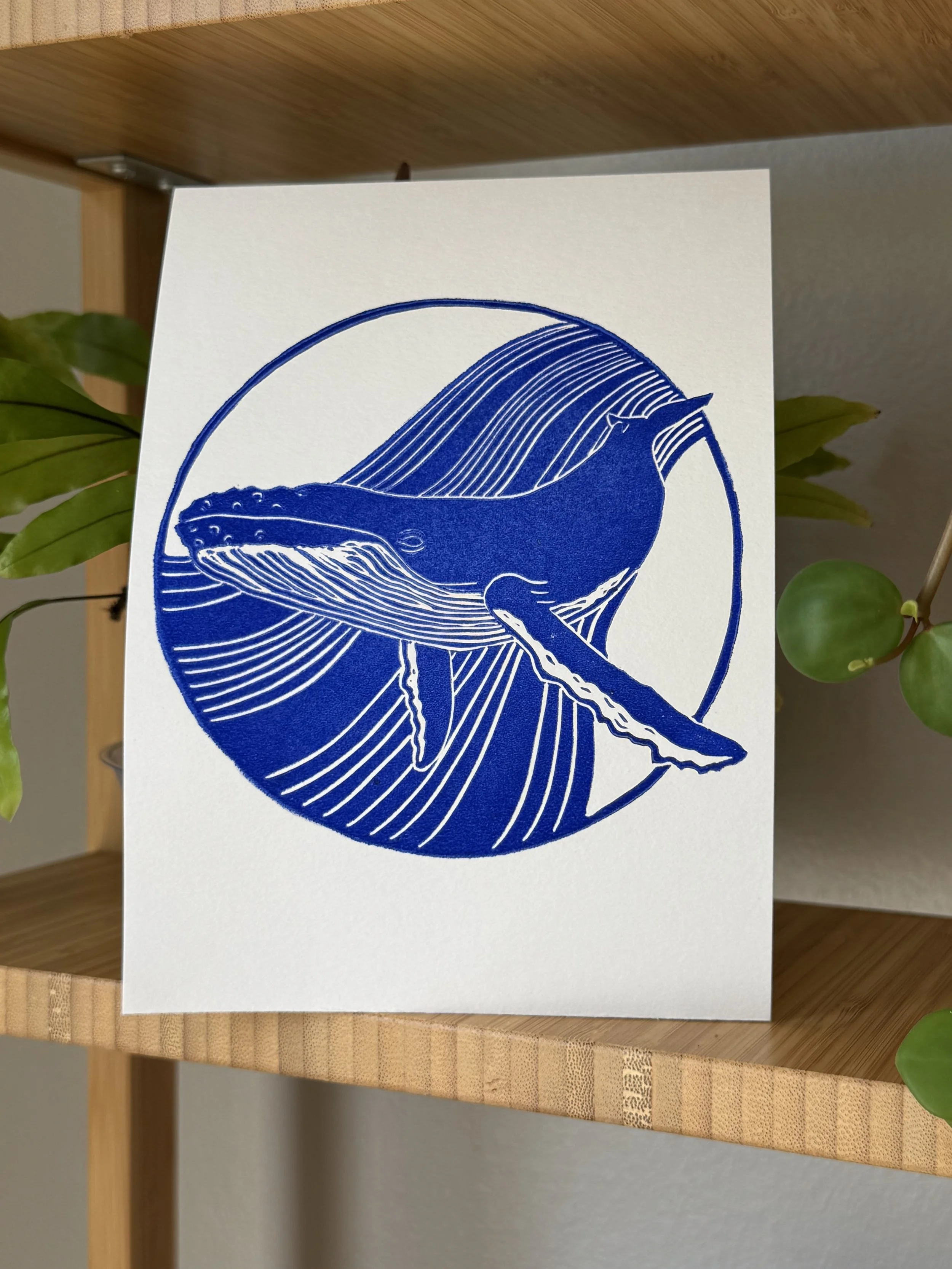 Ultramarine