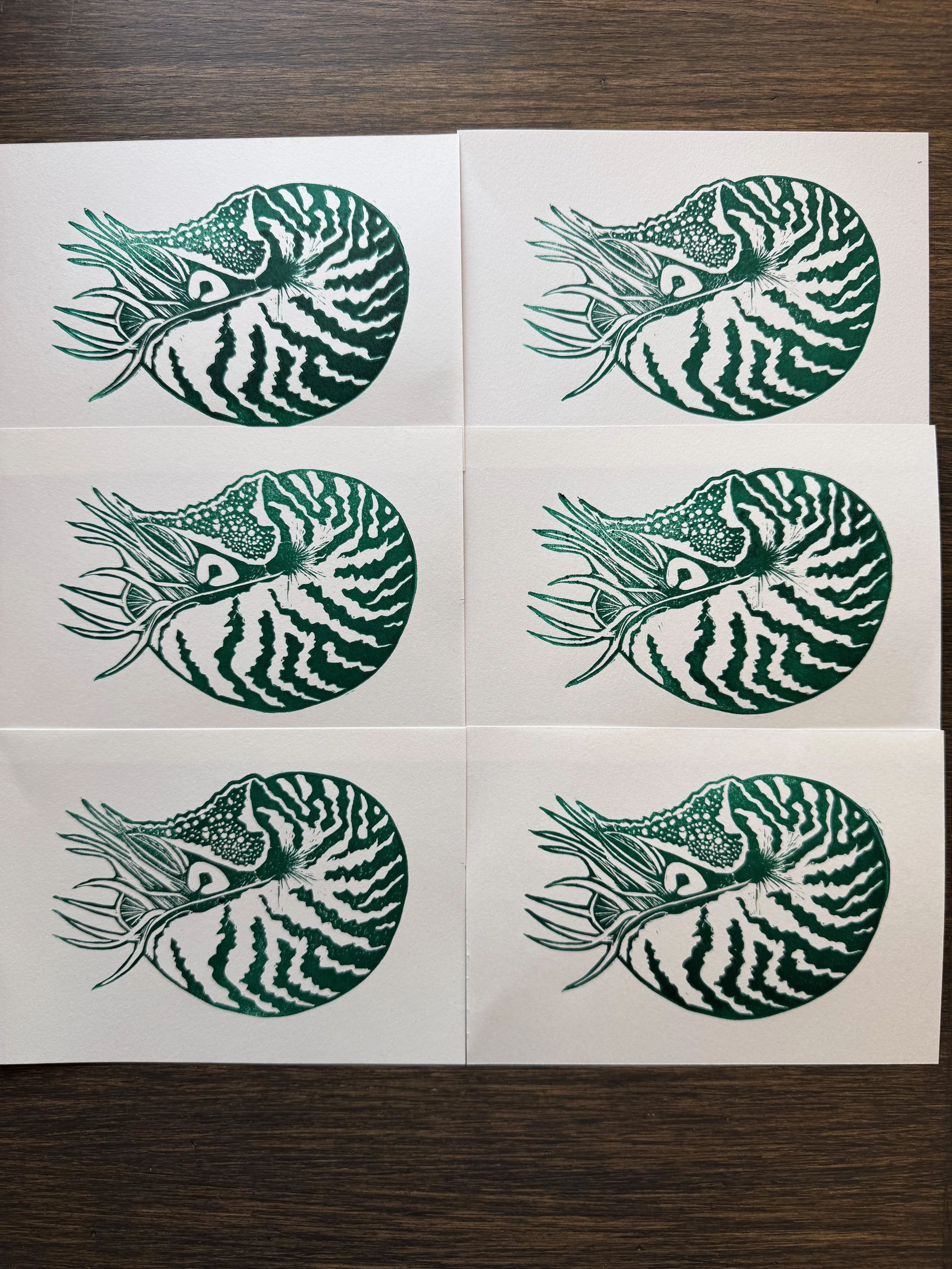 6 nautilus prints in pthalo green laid out on a table