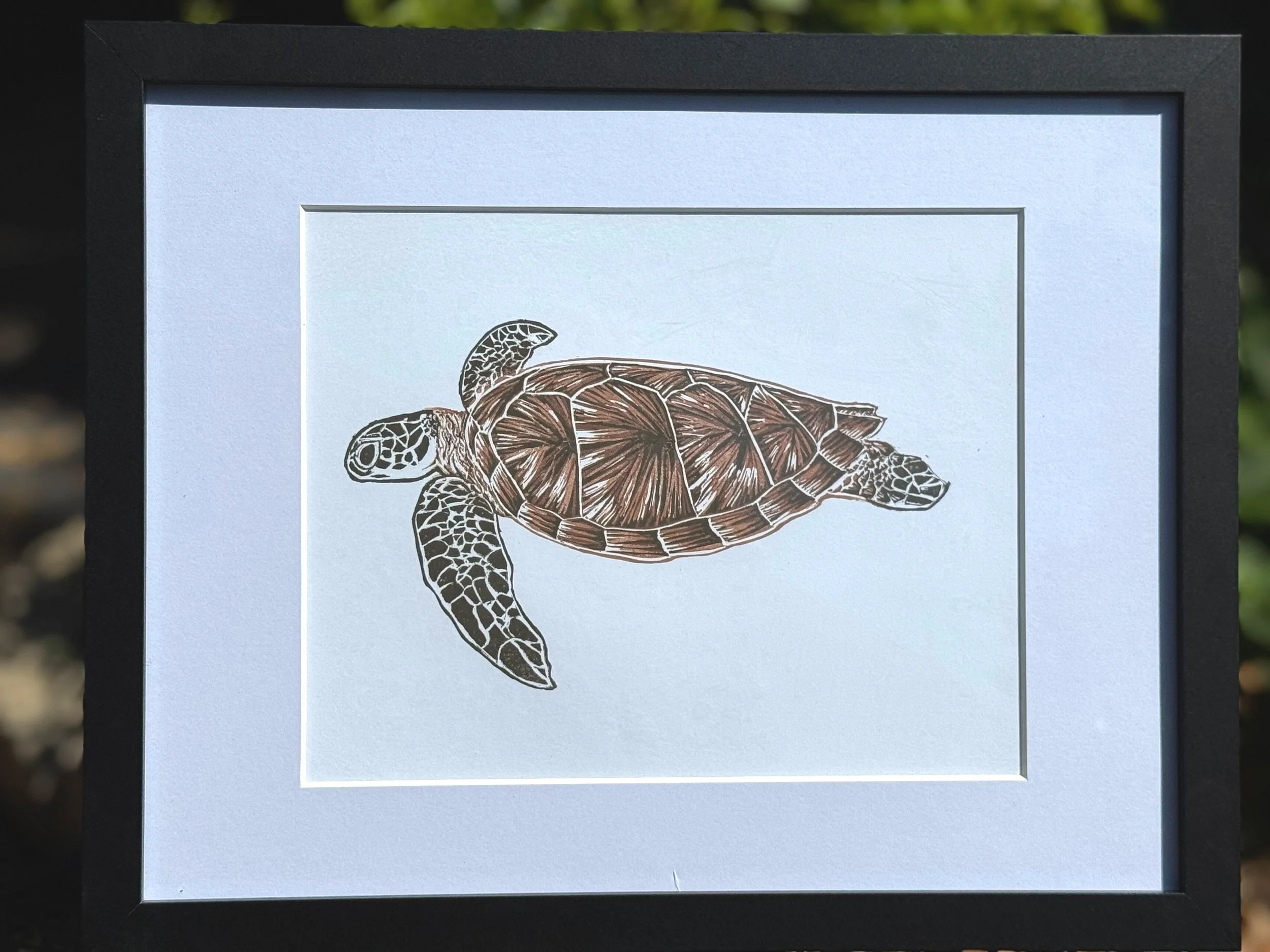 Sea+Turtle+3.jpg