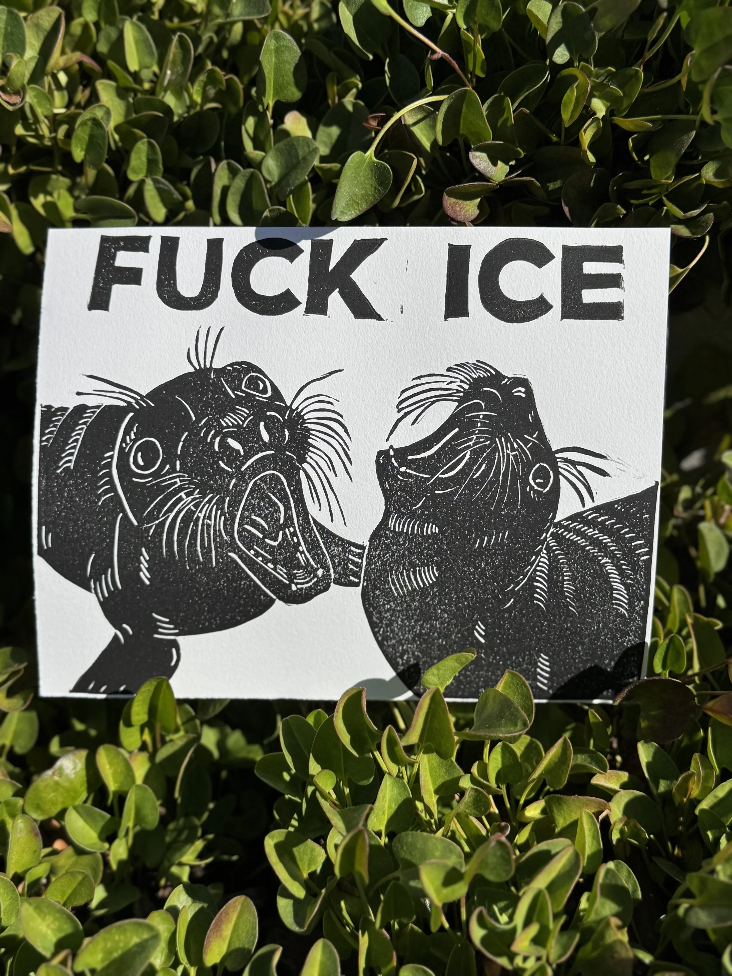 Black and white linoprint of two elephant seal pups throwing their heads back and screaming "FUCK ICE"