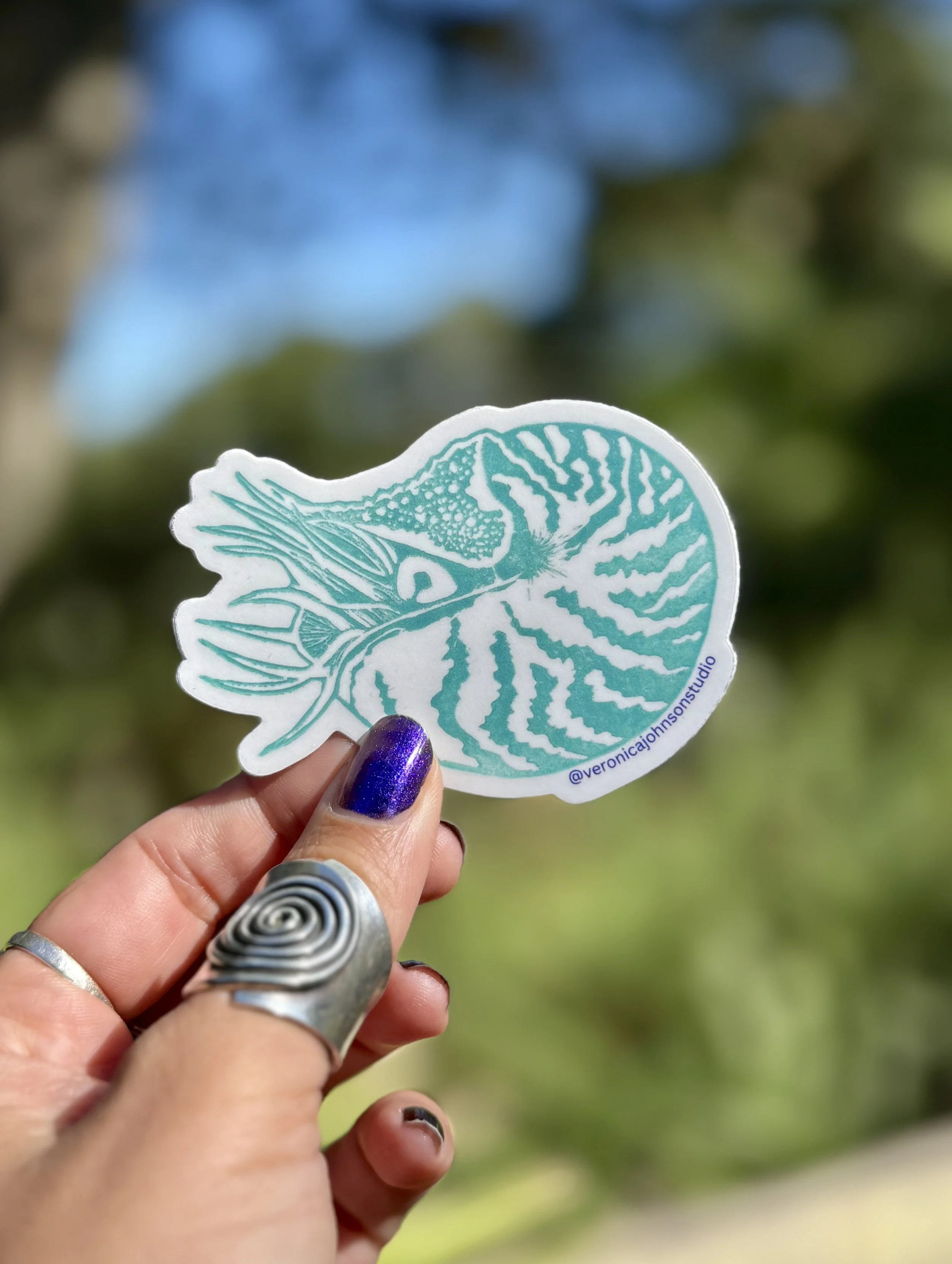 Nautilus Sticker