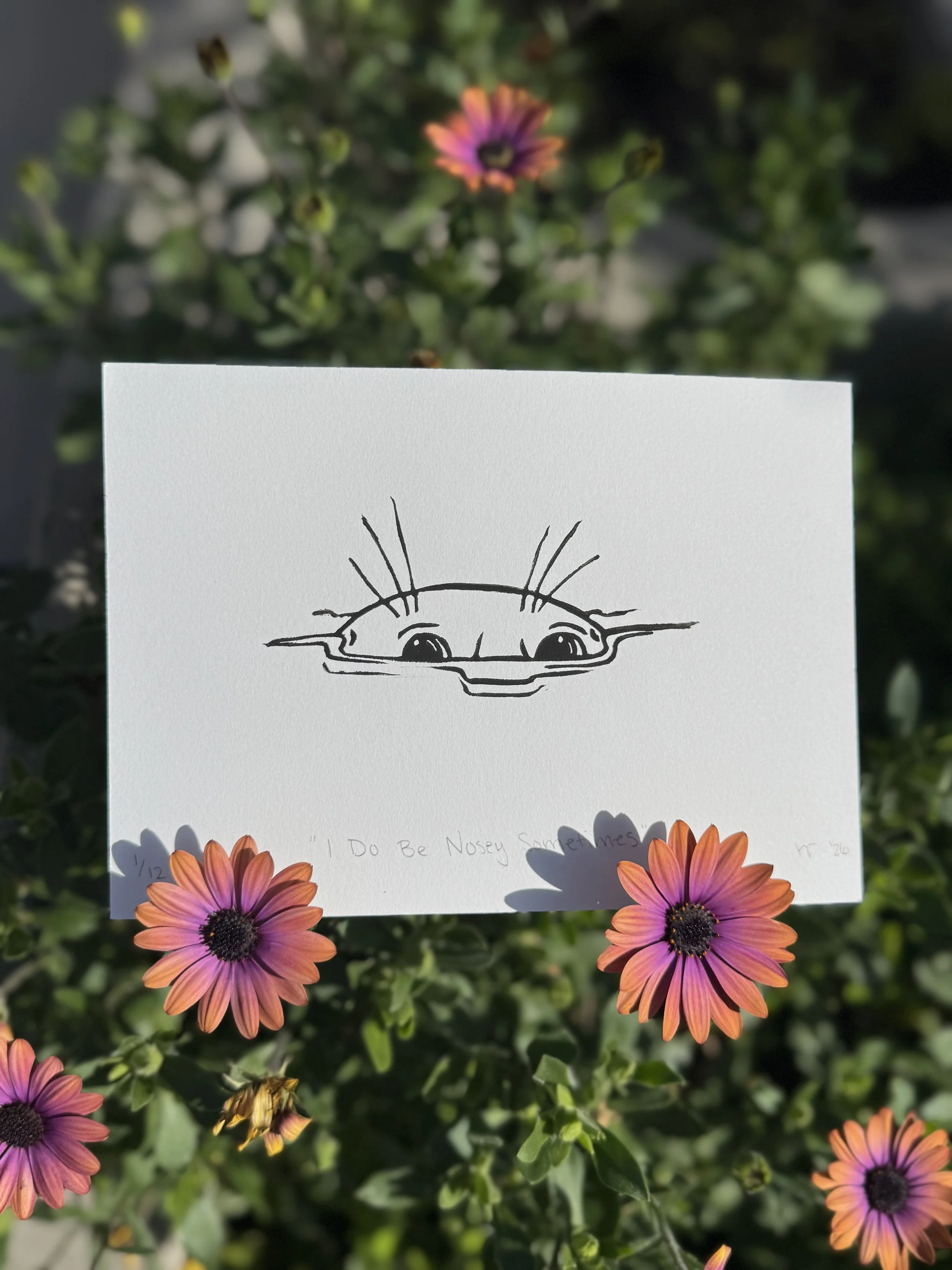 I Do Be Nosey Sometimes