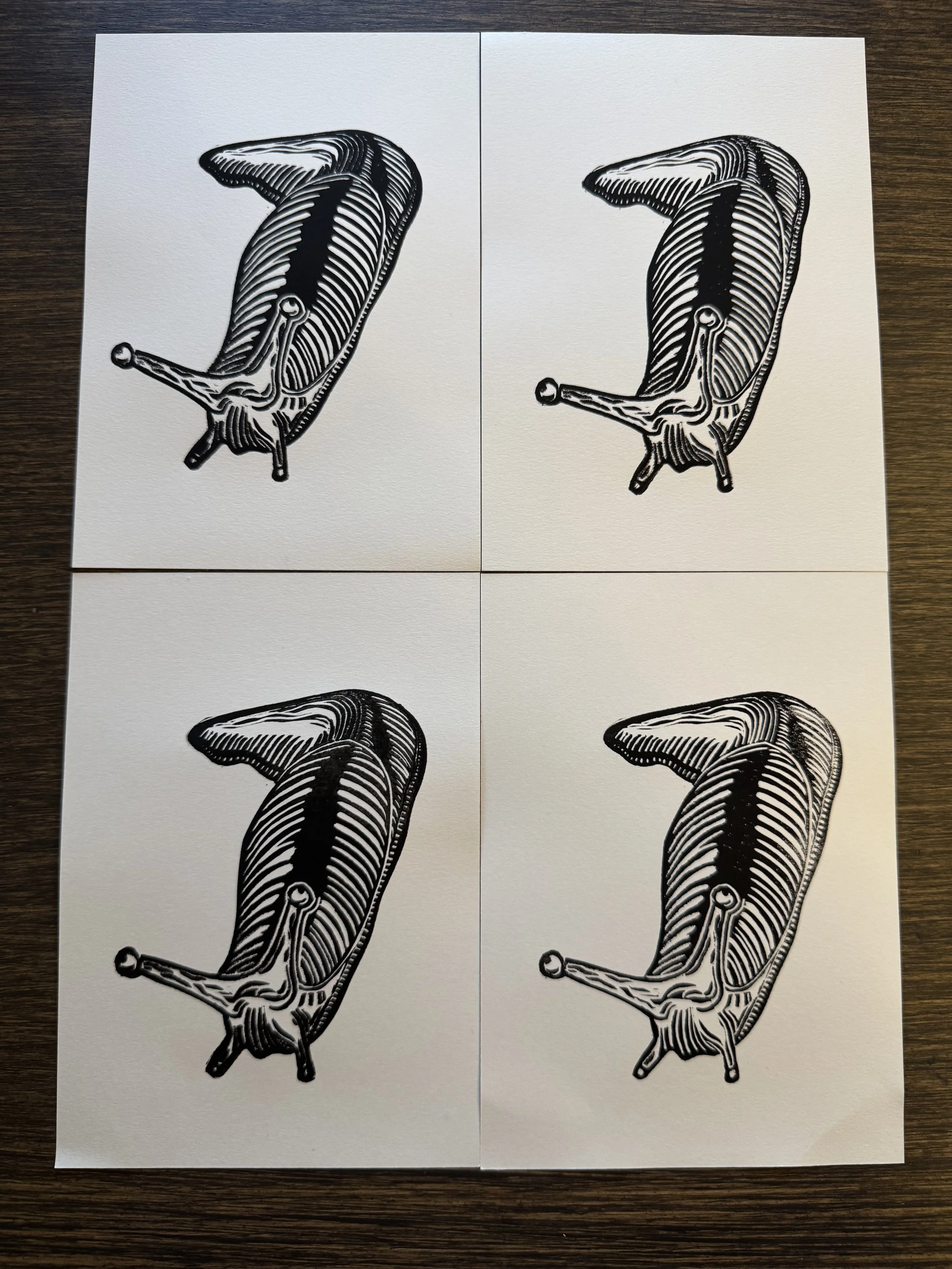 4 black and white banana slug linoprints