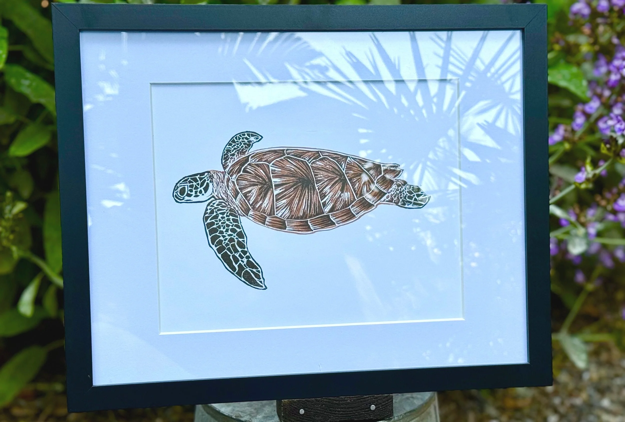 Sea+Turtle.jpg