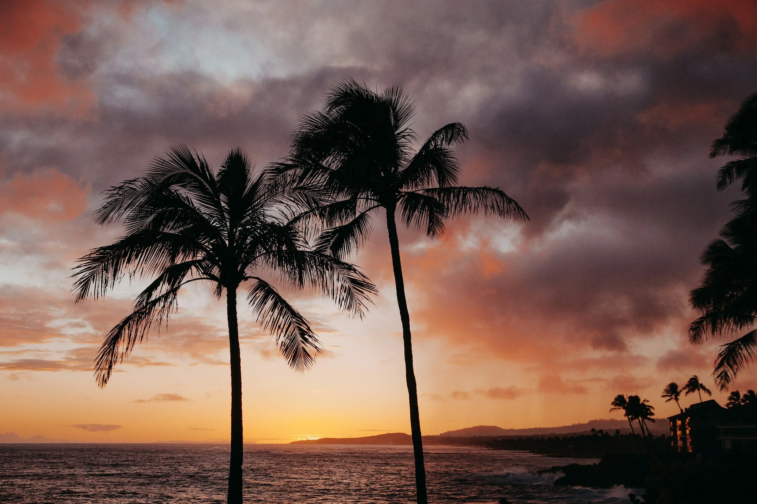 Words, Earth & Aloha: The Source of Hawaiian Music
