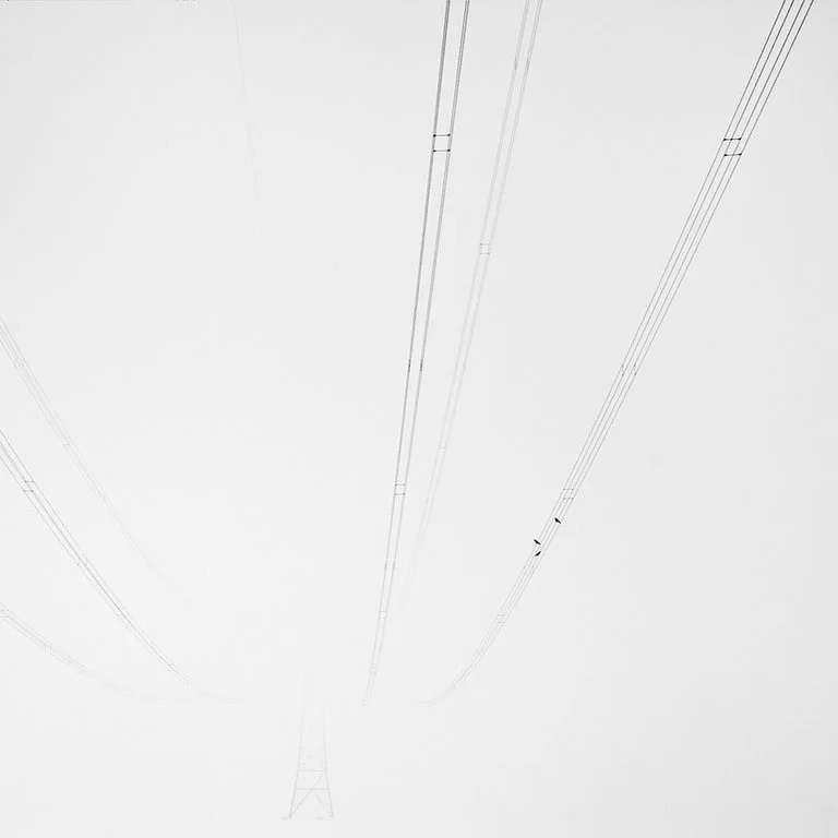 2011---Birdsong-web.jpg