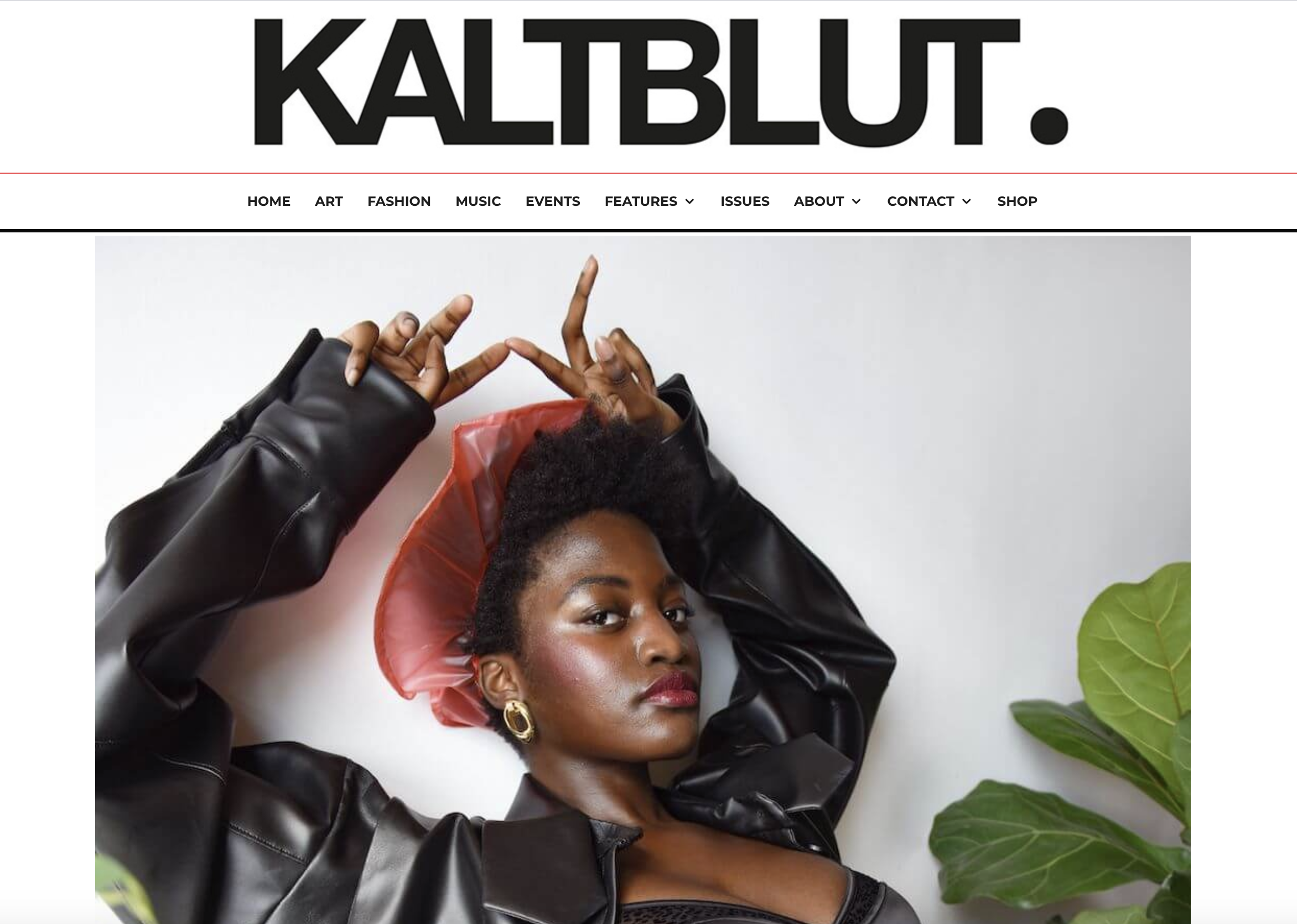 KaltBlut Magazine feature