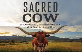 Sacred Cow