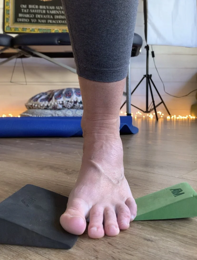 HOW MANY BONES ARE IN THE FEET?