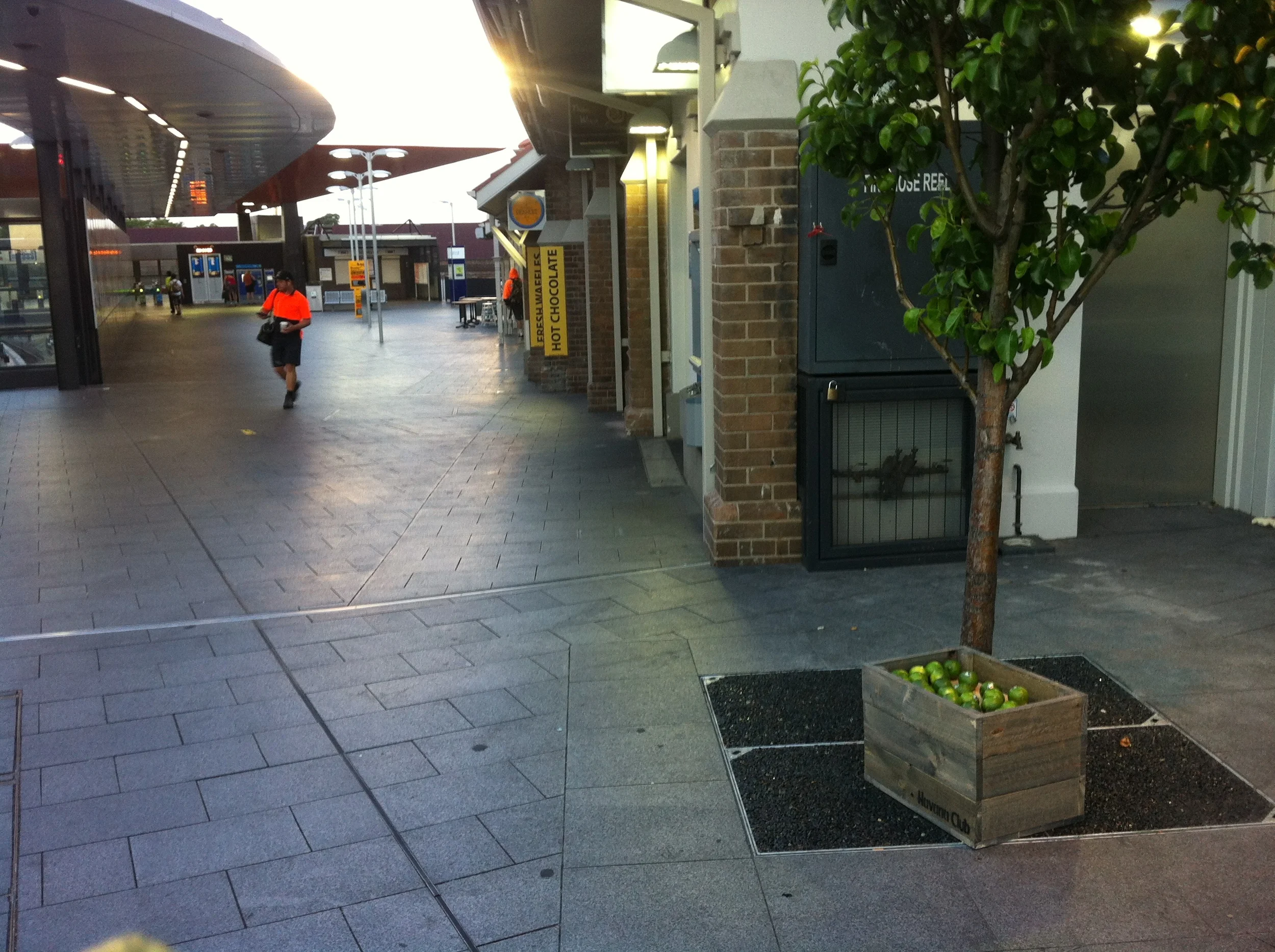 photo.5.JPG