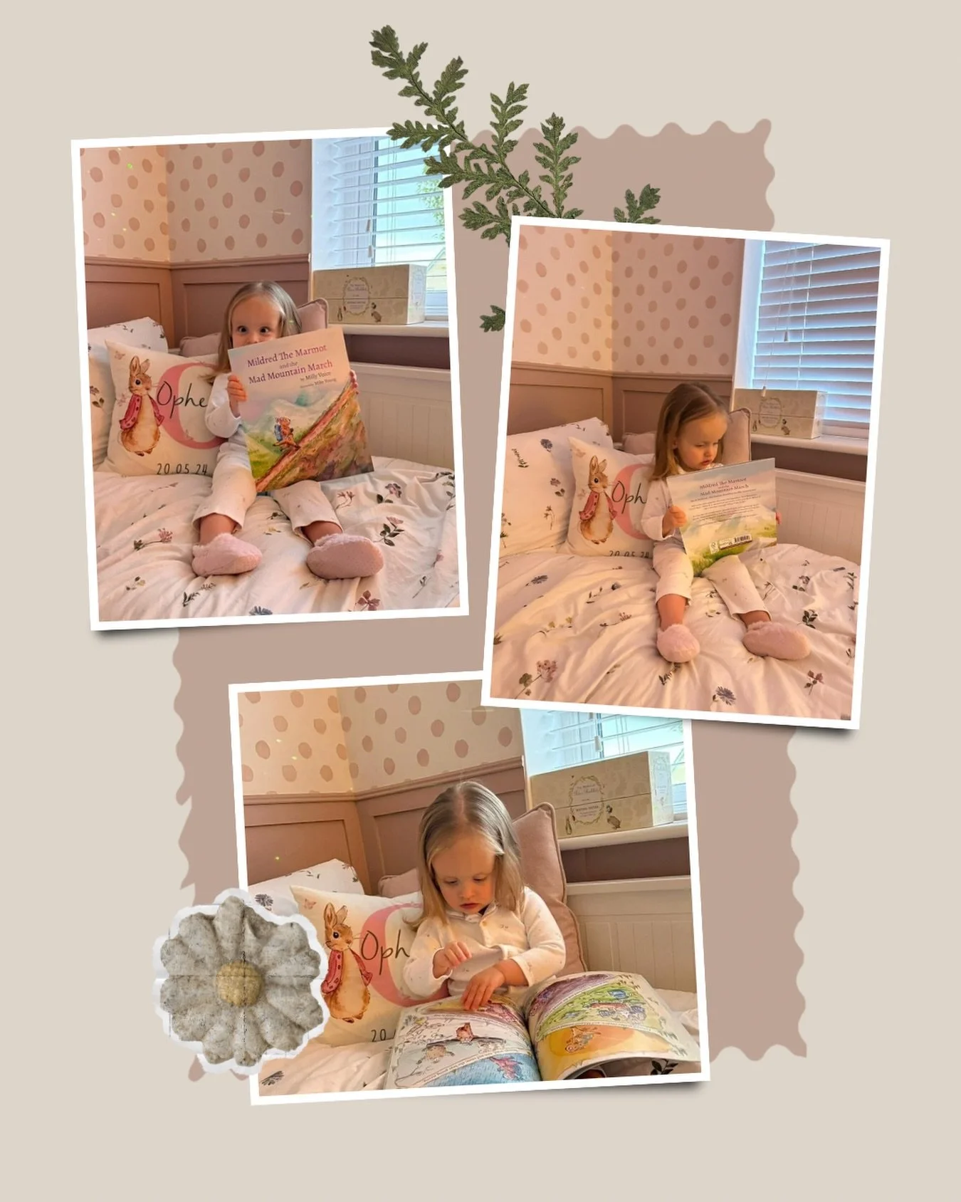 I am so proud of this little reader. This is Ophelia. Ophelia arrived into this world in a lot of uncertainty, after her wonderful parents discovered during the 36 week scan that she had suffered a brain haemorrhage in utero. 2 years on, she is an in