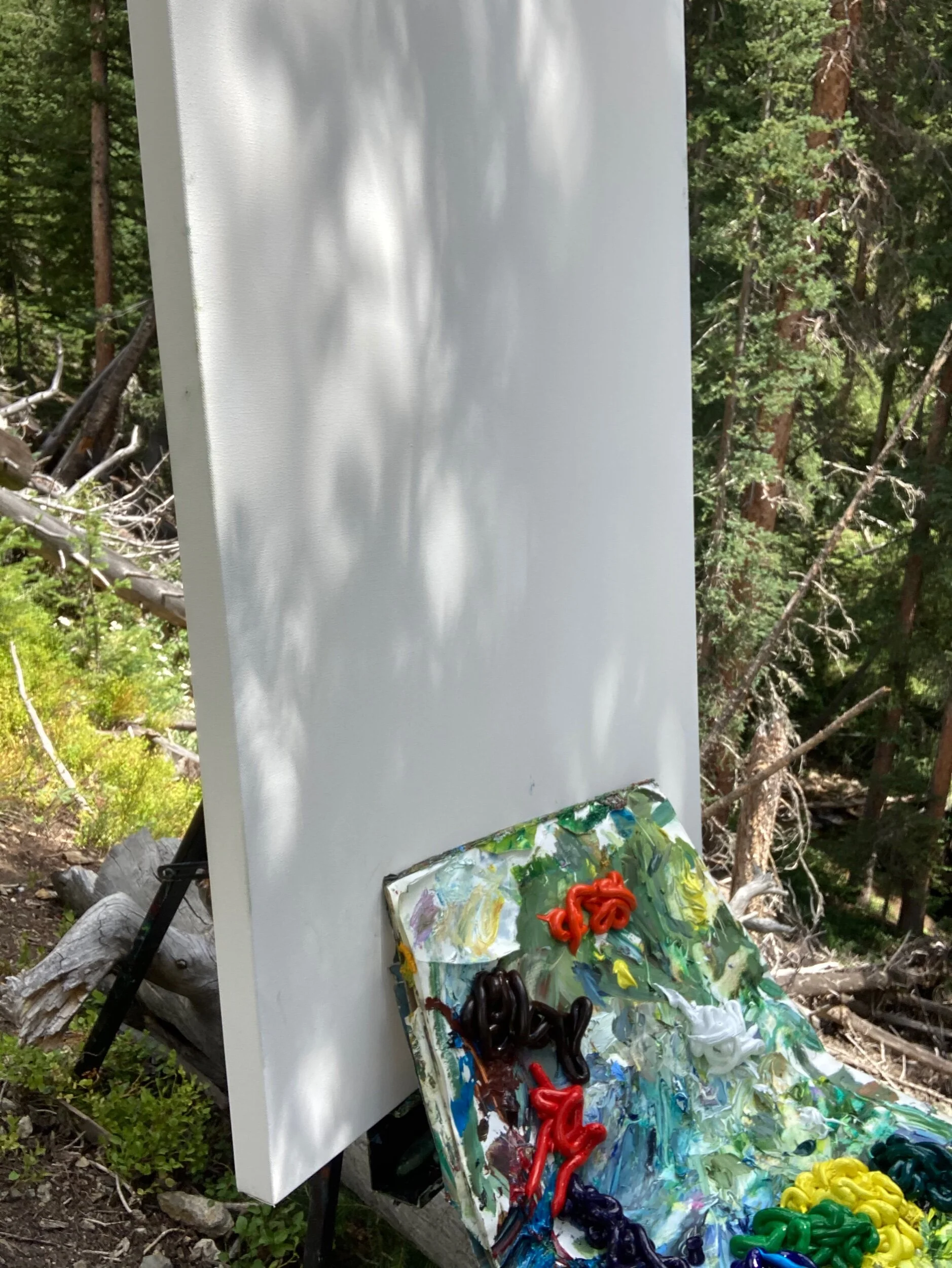 2ABD37FF-1B9D-41F7-8C3A-122C76C07C61