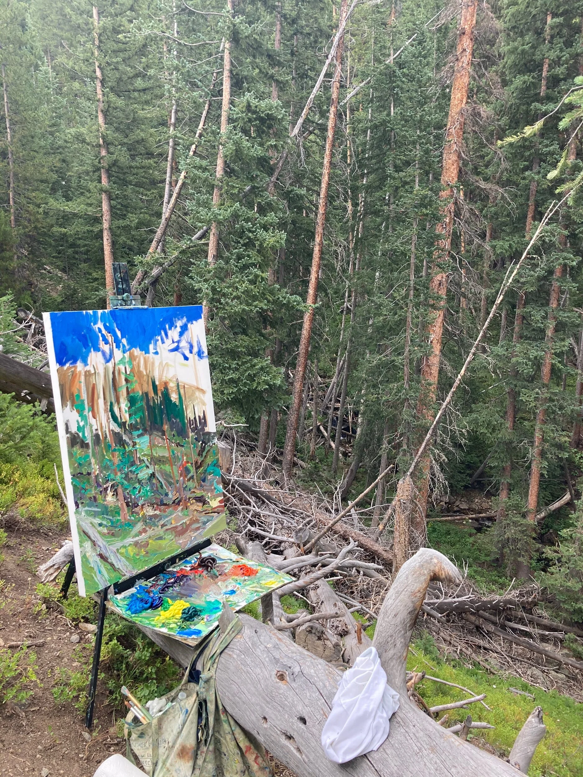 585DA48D-3D8E-4ACE-ABFF-B662FFE8BA49