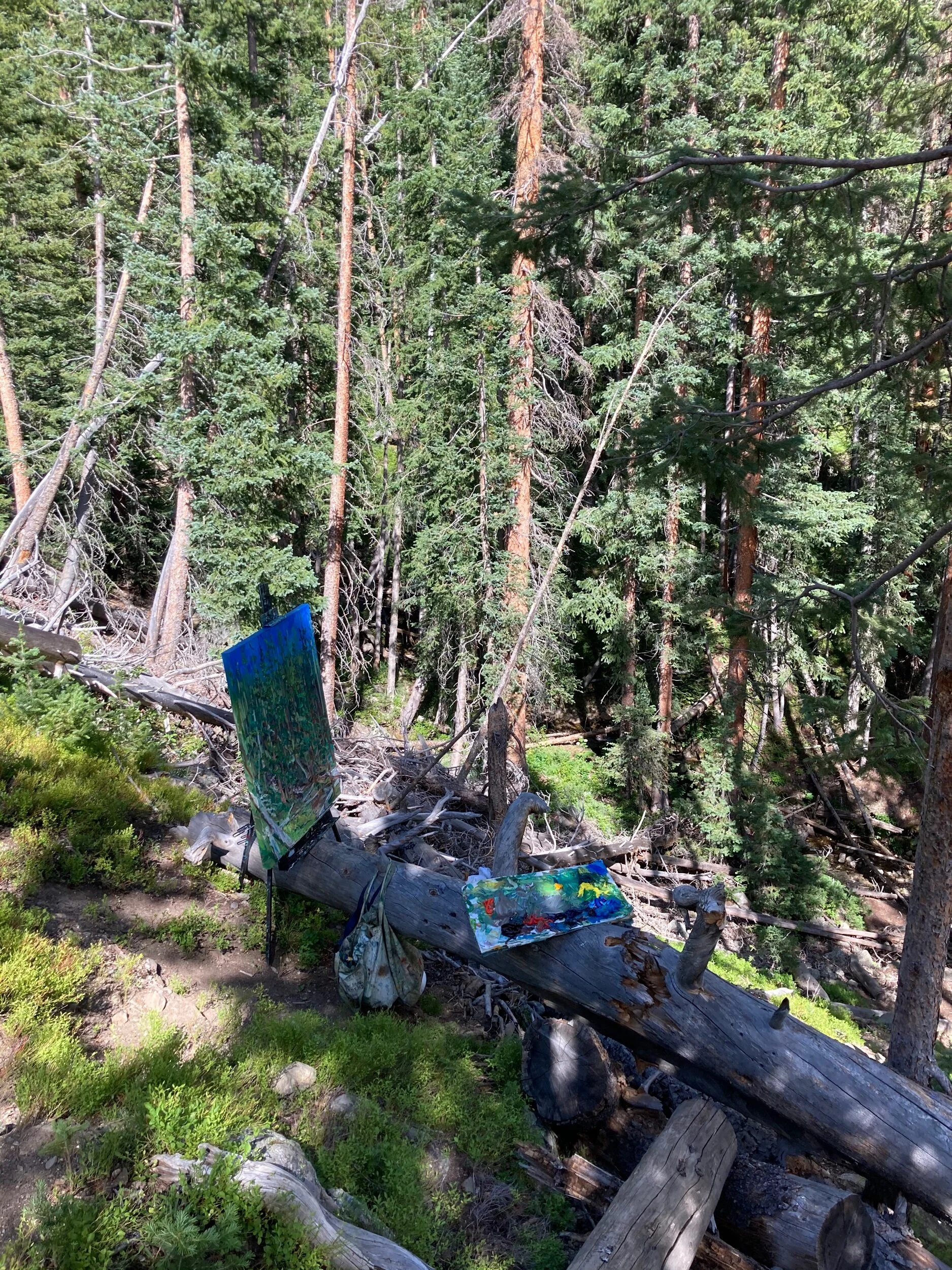 5FB7A479-6A6C-4B9F-81FF-F60938746C79