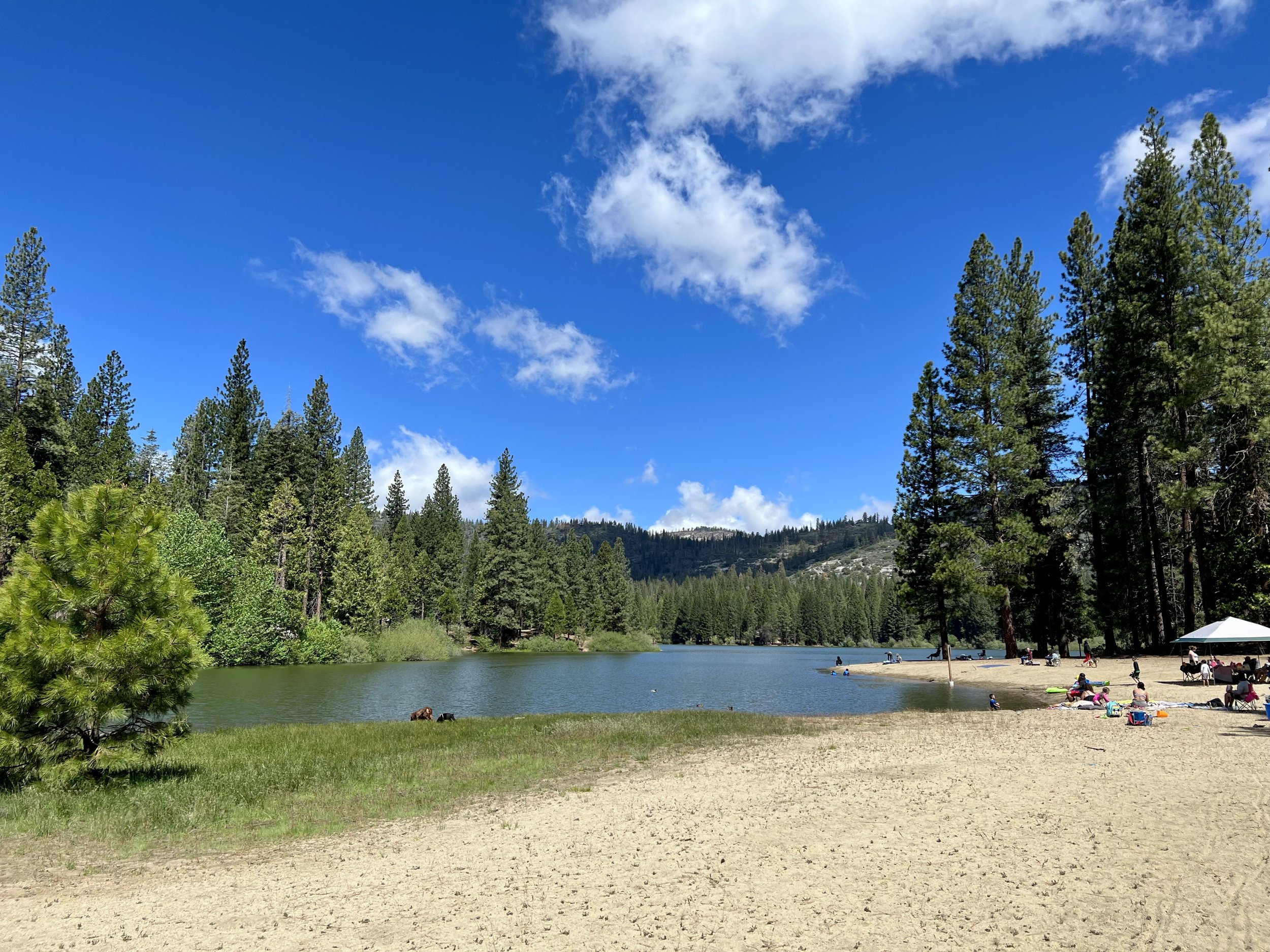 OnWayToKingsCanyon-IMG_9736.HEIC.jpg