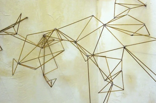 Eucalyptus gunni (interstices)