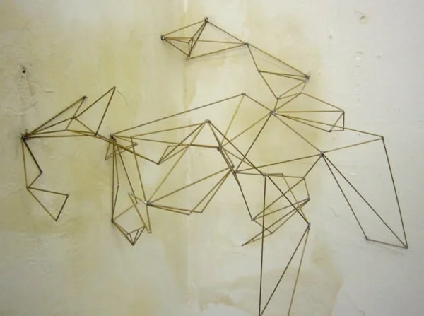 Eucalyptus gunni (interstices)