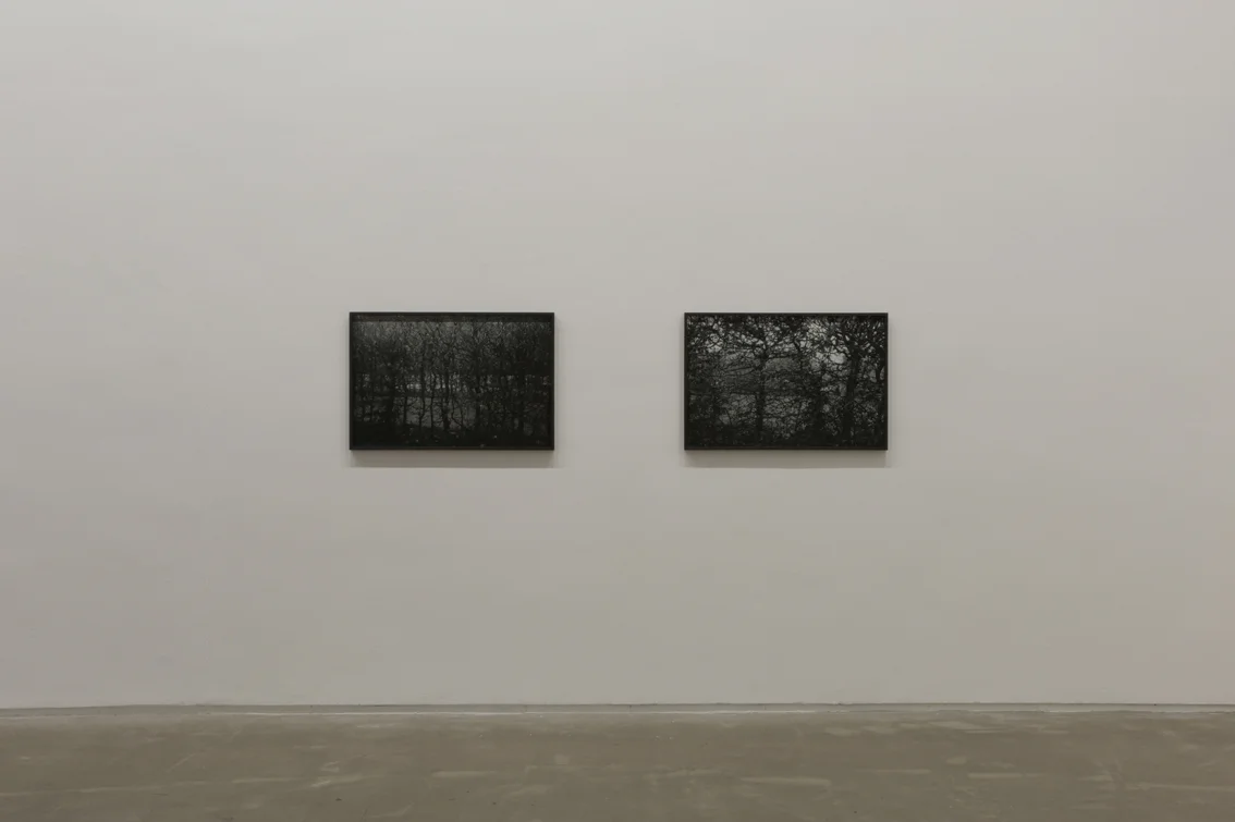 in life (i & ii), 2016. Archival pigment prints