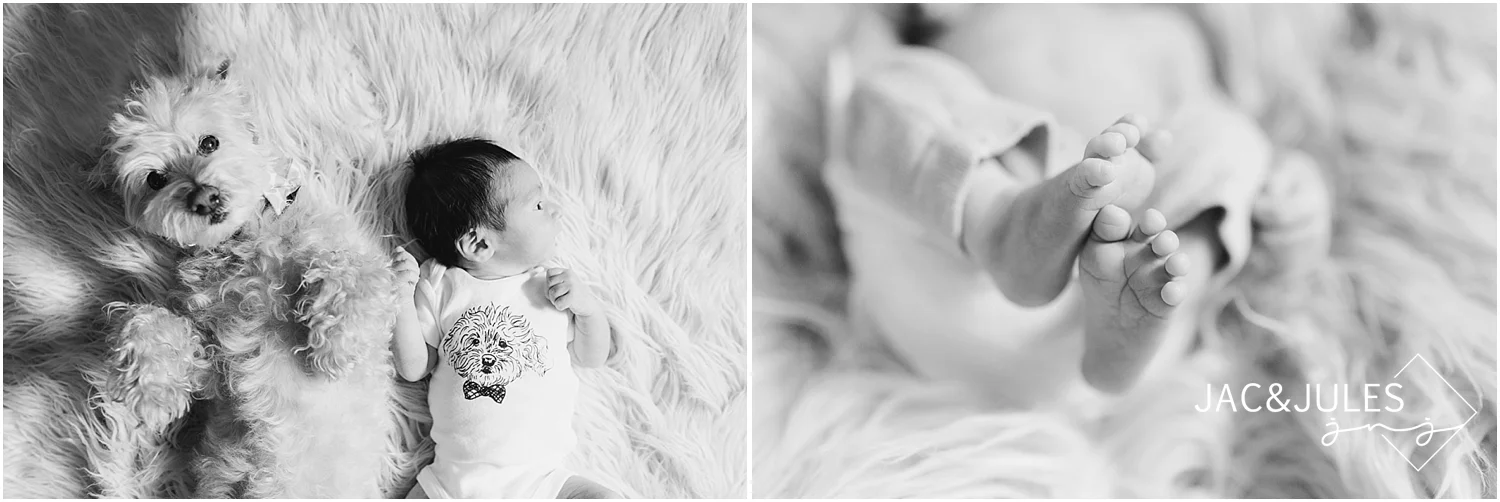 roselle-j-in-home-newborn-photos-by-jacnjules