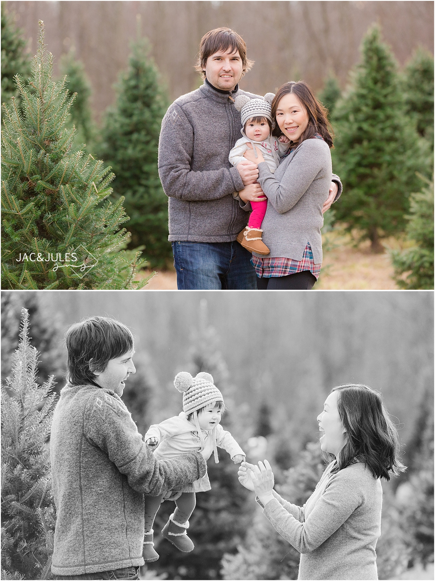 jacnjules photographs 6 month old girl for christmas at lone silo tree farm in NJ