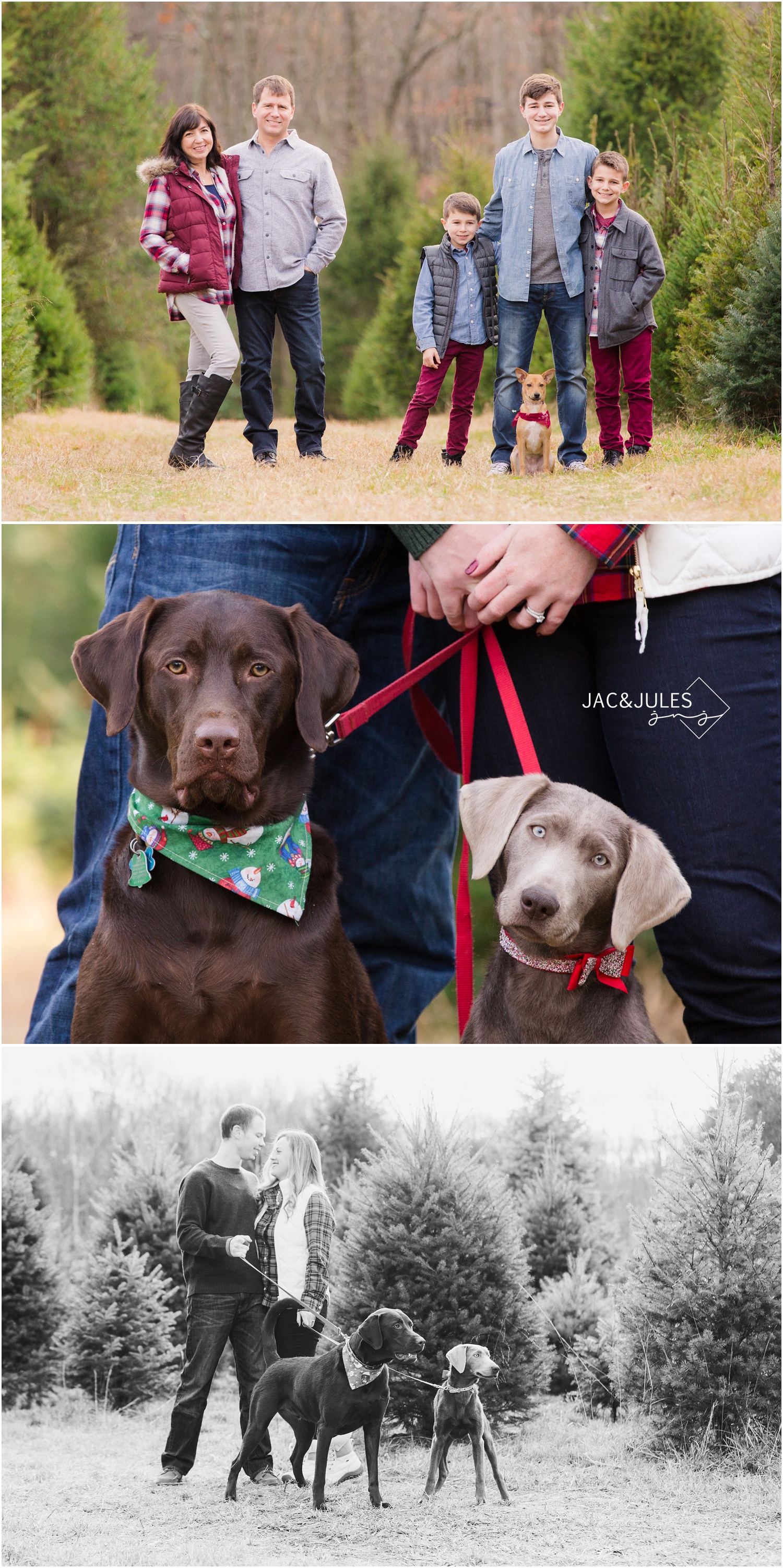 jacnjules photographs children for their christmas photos at Lone Silo Tree Farm in New Egypt NJ using natural light