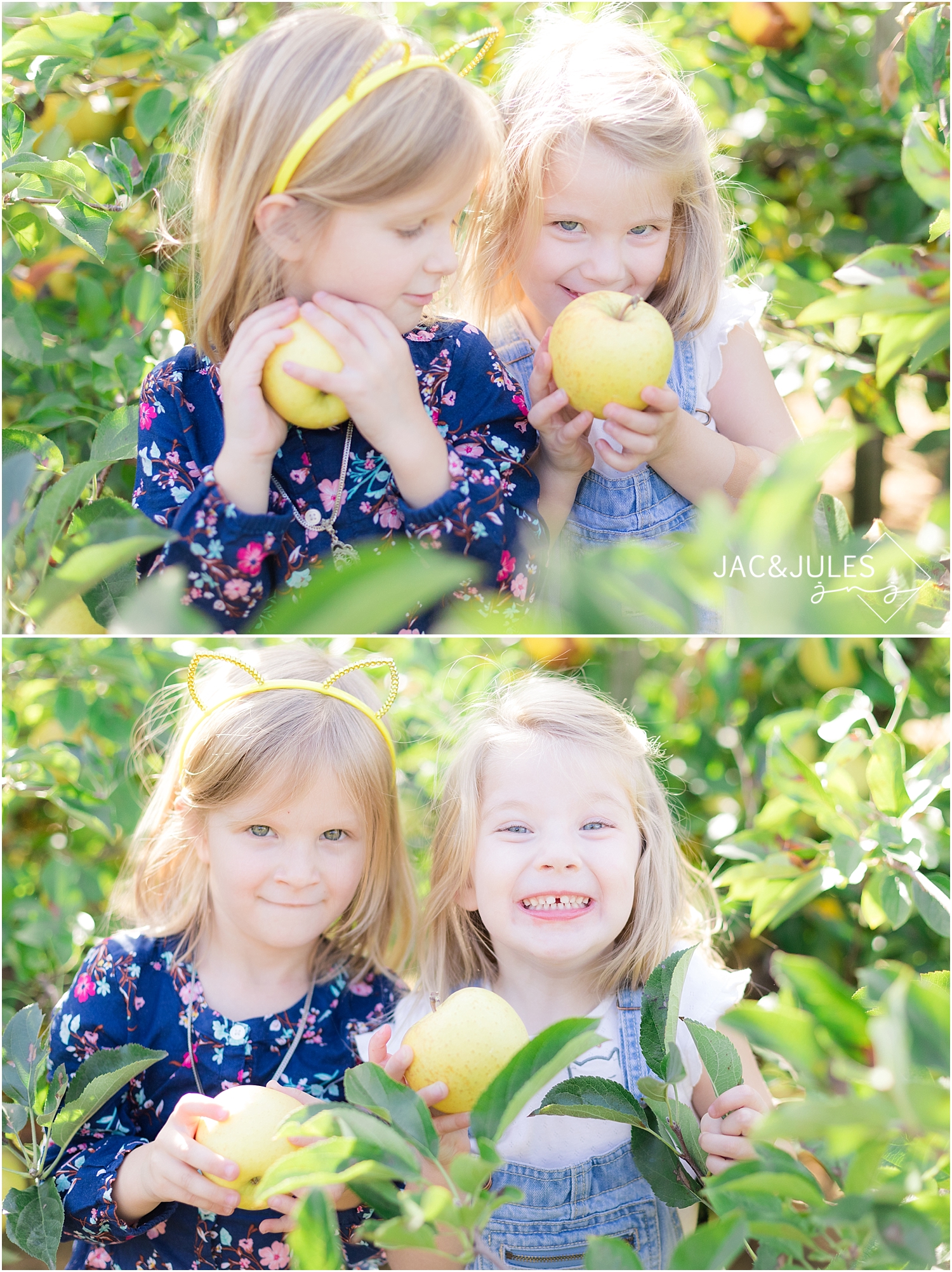 two girls apple picking at eastmont orchards in colts neck nj