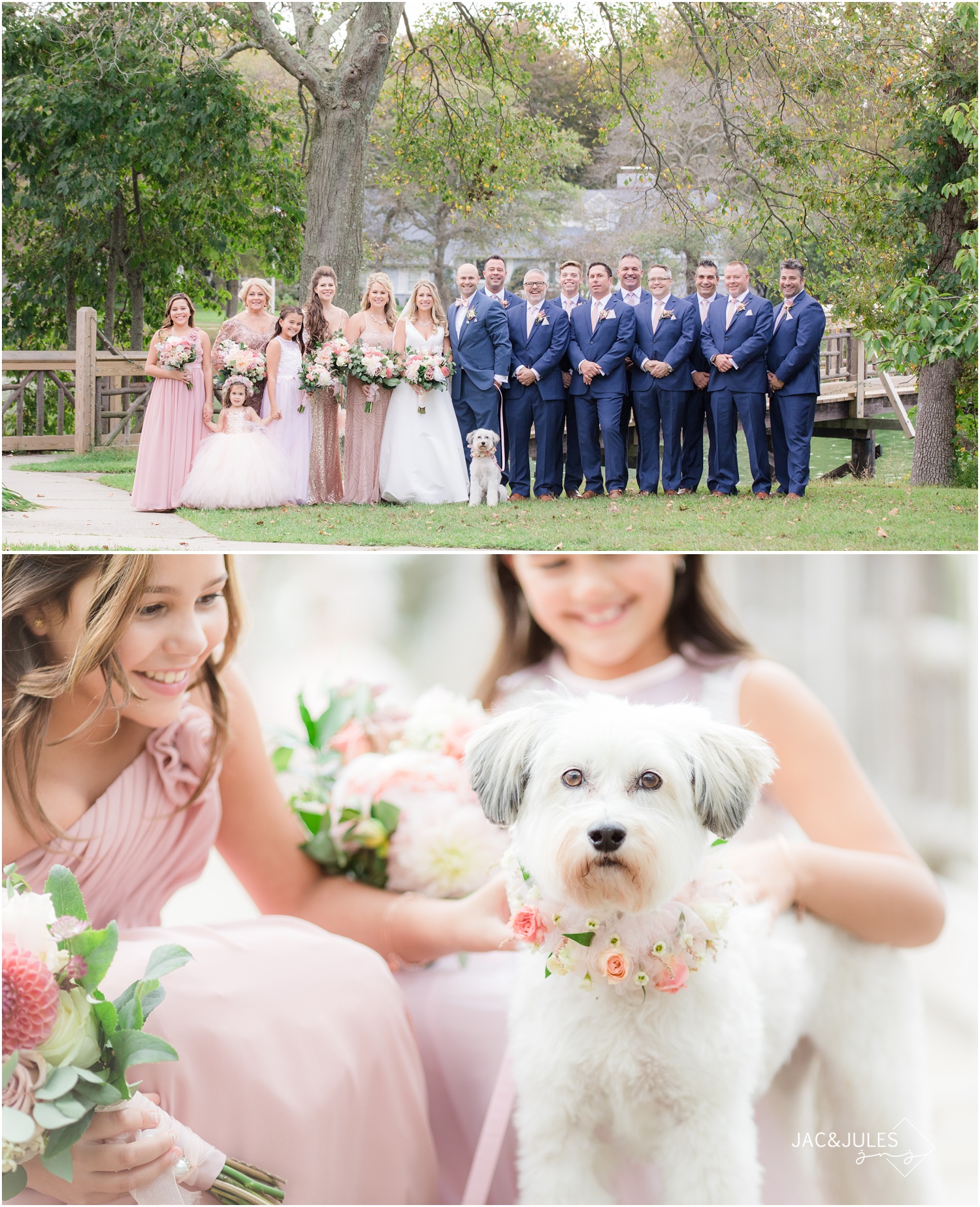 Bridal Party photos with puppy photos by the bridge in Devine Park in Spring Lake, NJ.