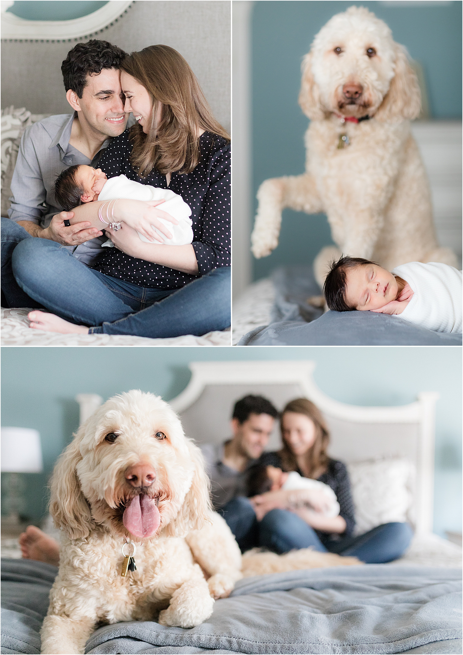 family-newborn-photos-with-a-dog