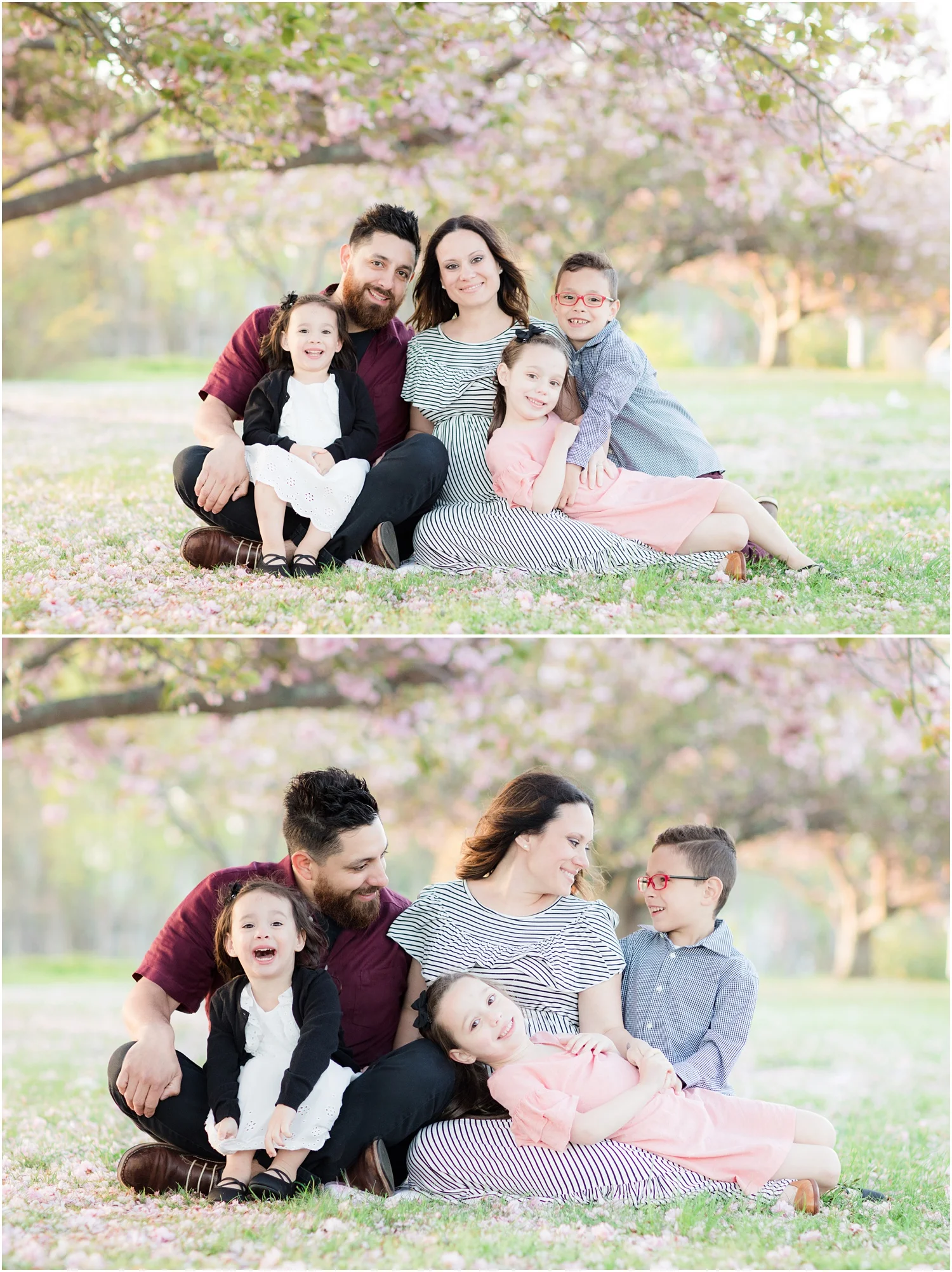 cozy family photo with cherry blossoms at Divine Park in Spring Lake.