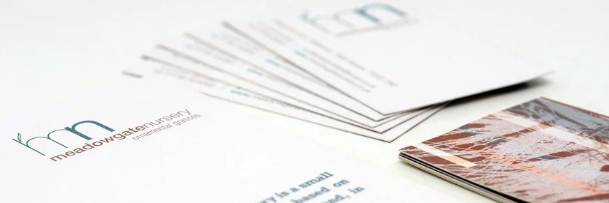 branding-chichester