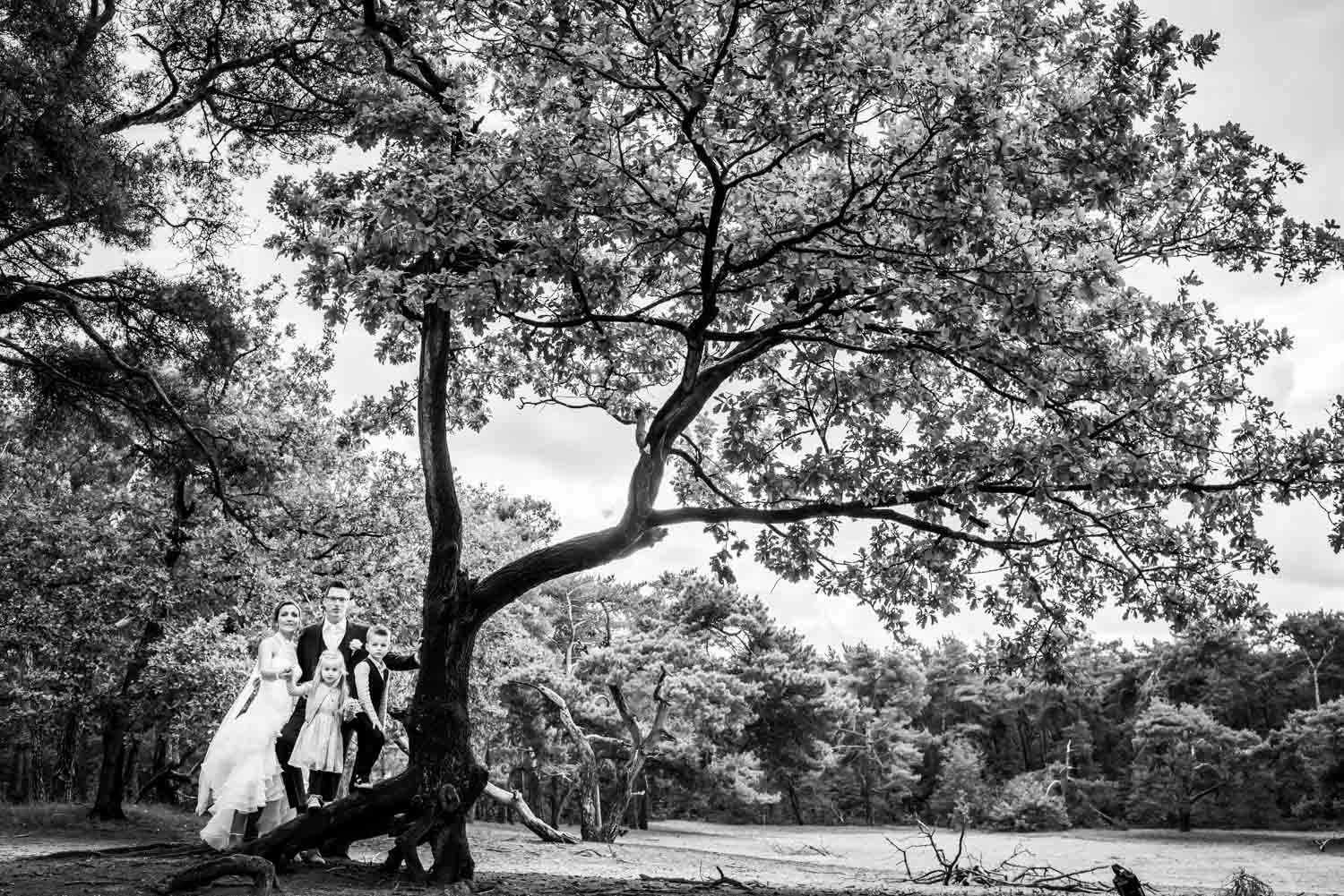 Trouwfotograaf is het met bruidspaar in het bos in Breda.