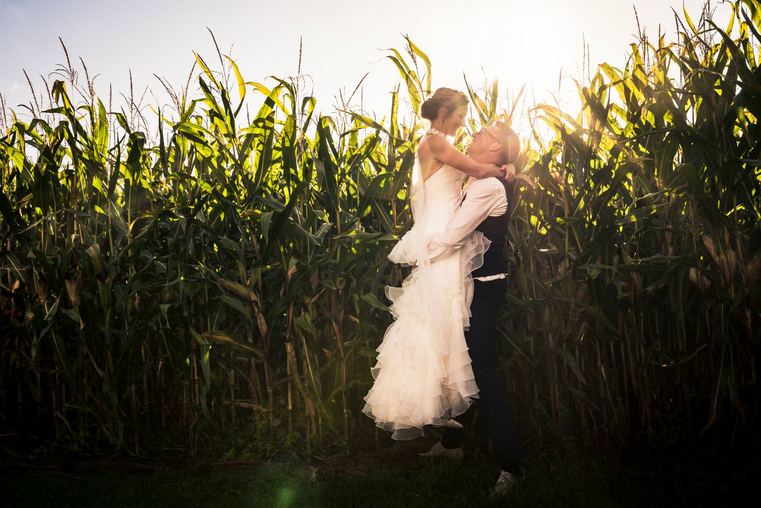 Cfoto maakte een bruidsreportage in de mais met ondergaande zon.
