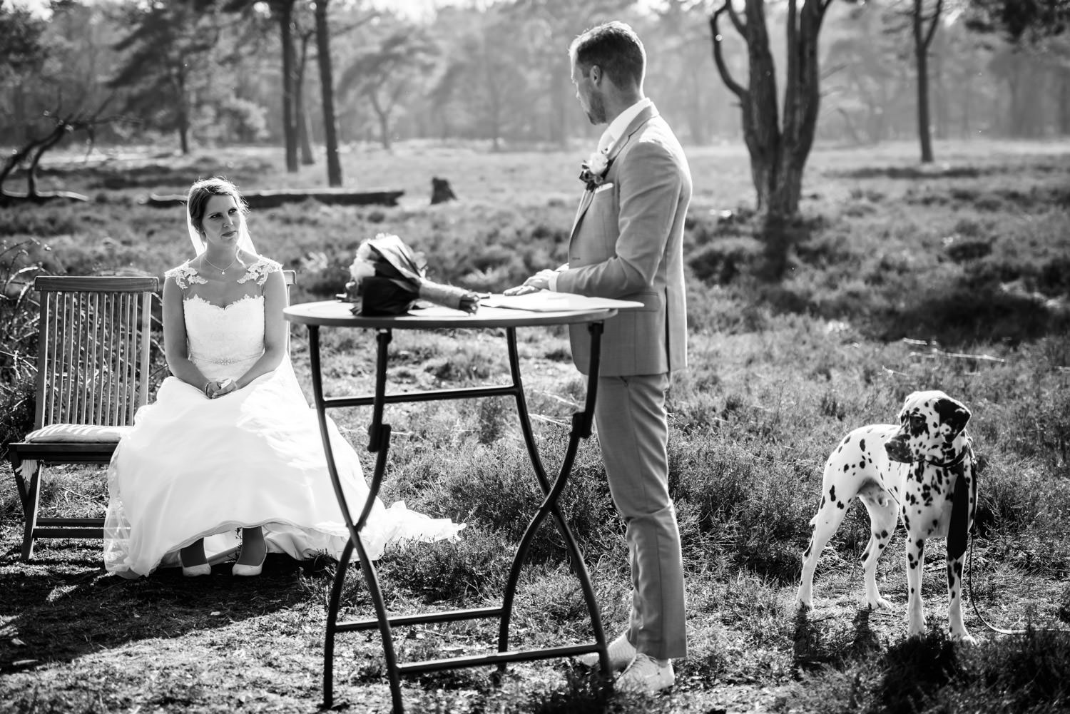 De bruidegom doet zijn geloftes aan de bruid, tijdens de trouwceremonie, midden in de natuur terwijl hun hond een Dalmatier staat te kijken.