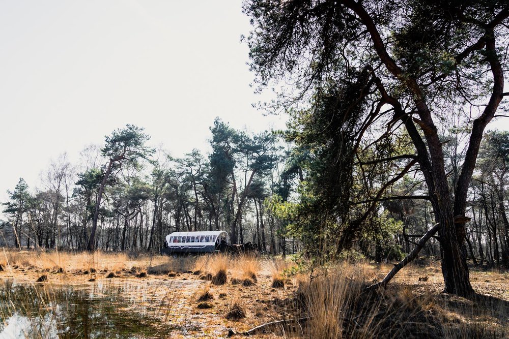 Met een huifkar gaan ze naar de plek van de ceremonie, op de heide in Breda. Een prachtige plek waar je alleen op deze manier kunt komen.