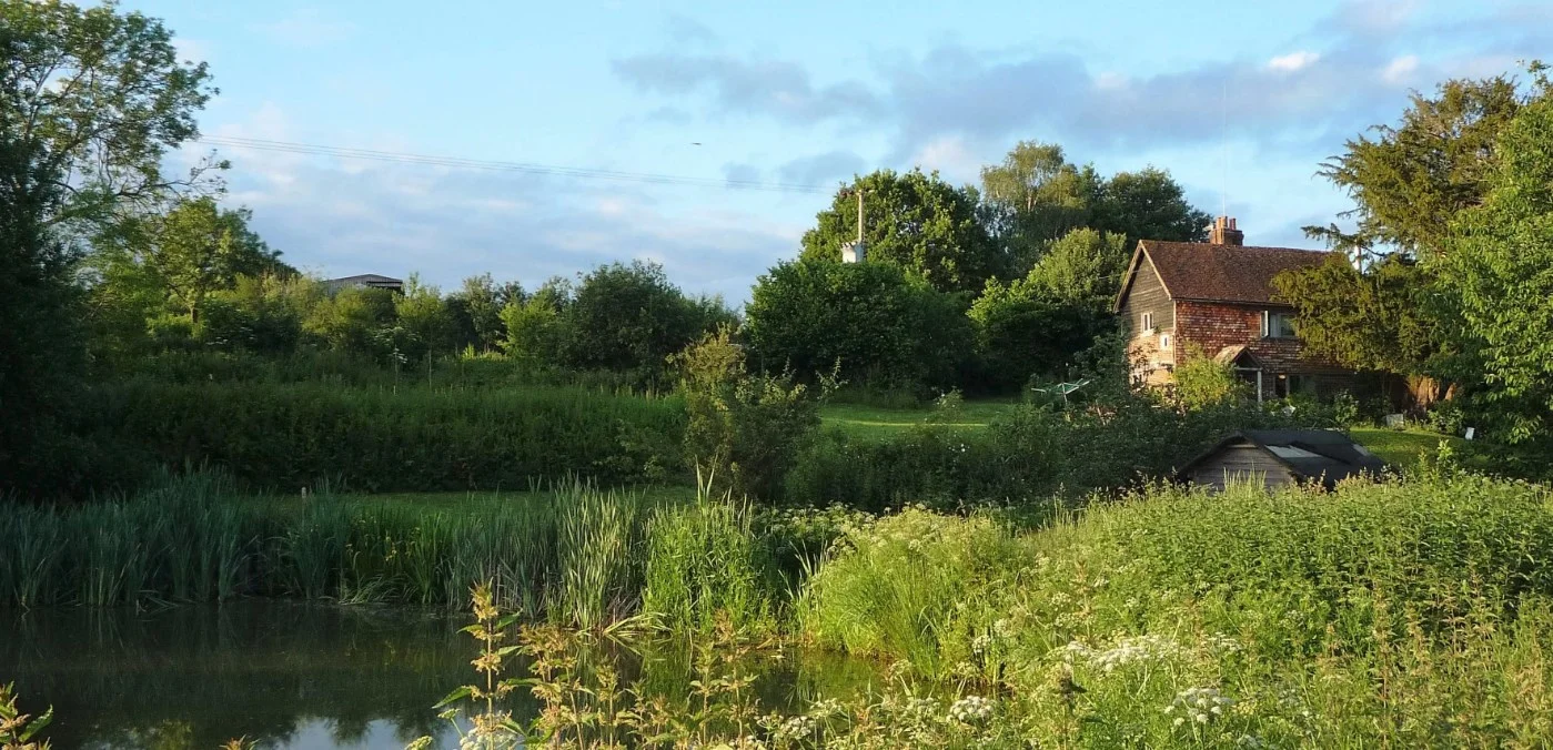 The idyllic site of the soon to be erected straw bale farmhouse