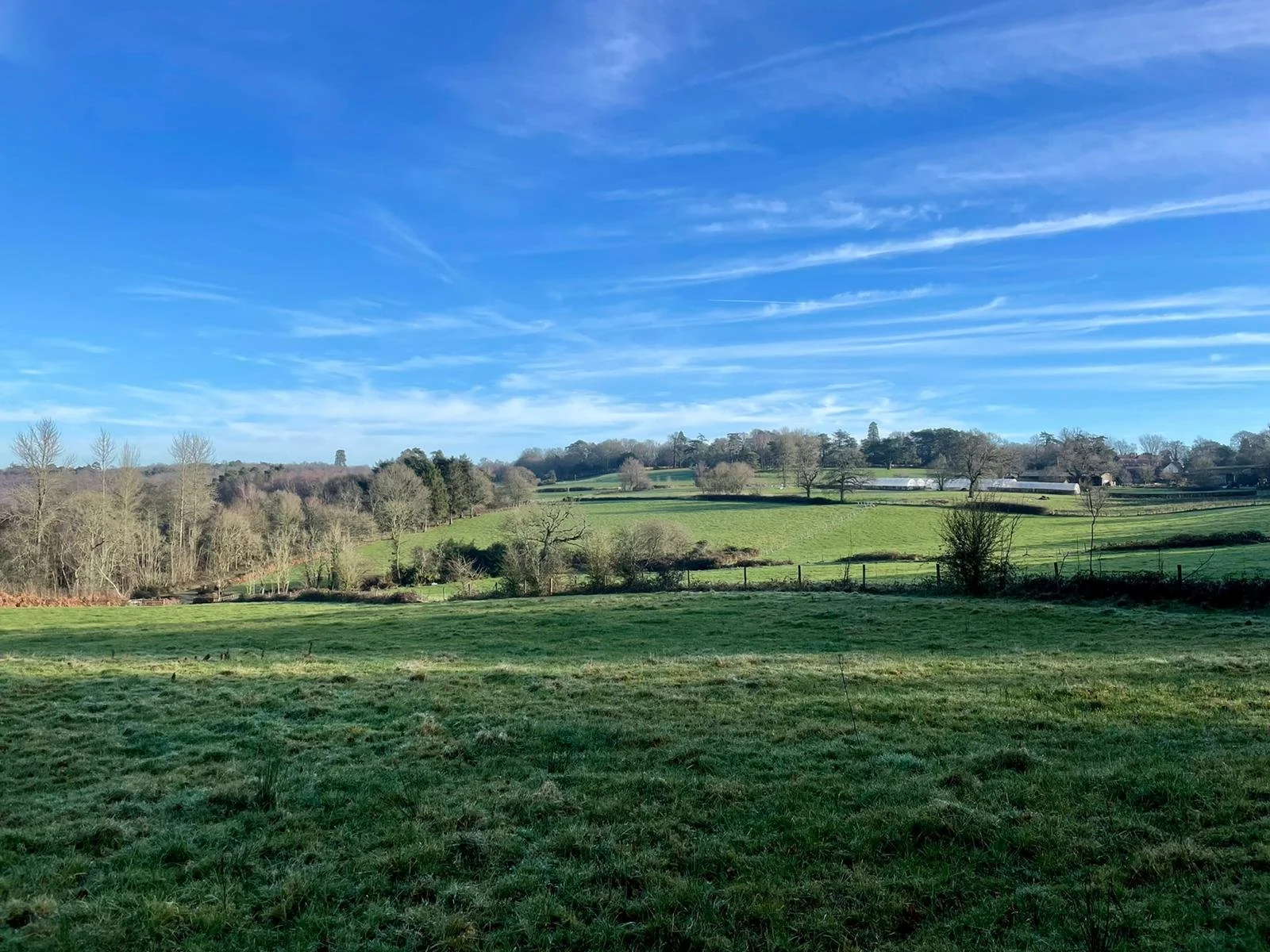 Plaw Hatch Farm Land.jpeg