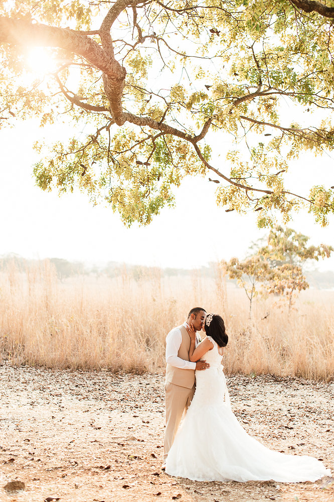 Elaine&Greg_preview-129.jpg