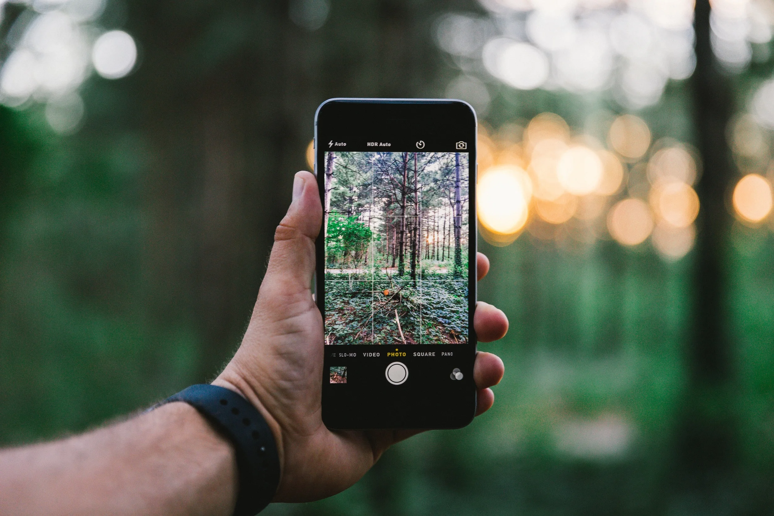 Photo by Drew Hays, unsplash.com
