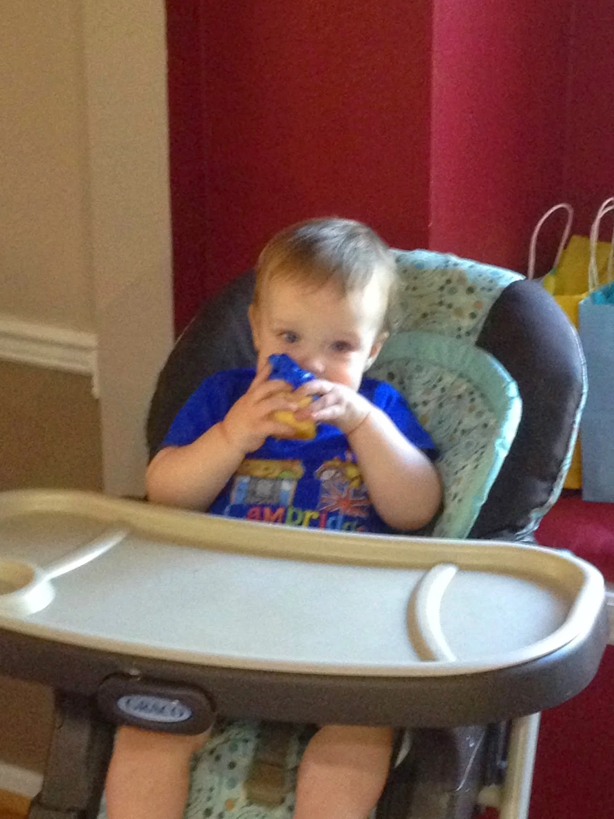 PRO/CON: Participating in this Ridiculous Charade of Smashing a Cake at My First Birthday Party