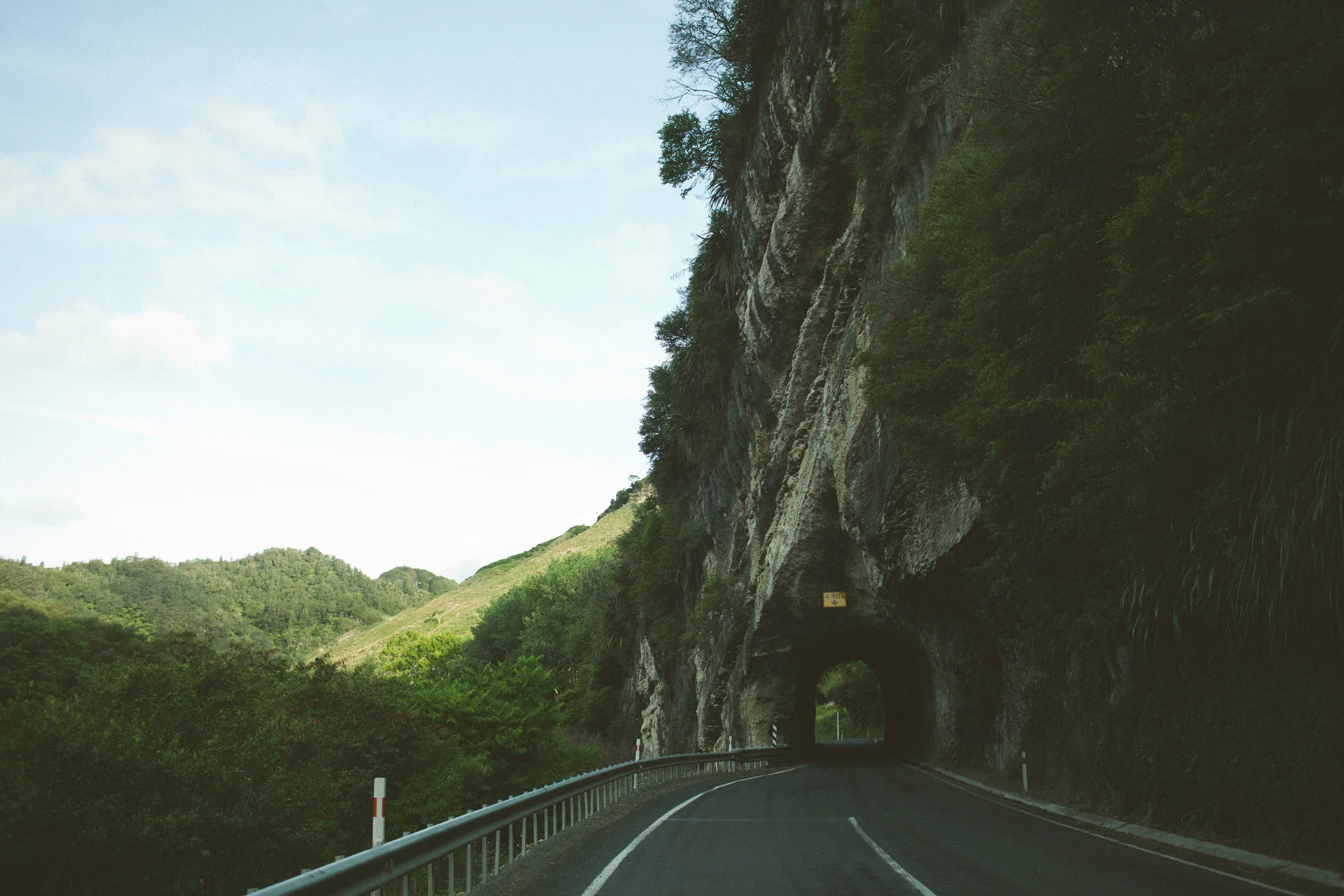 Photo by Taylor Leopold; www.unsplash.com