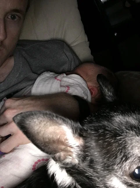 Me, Baby, and Chihuahua