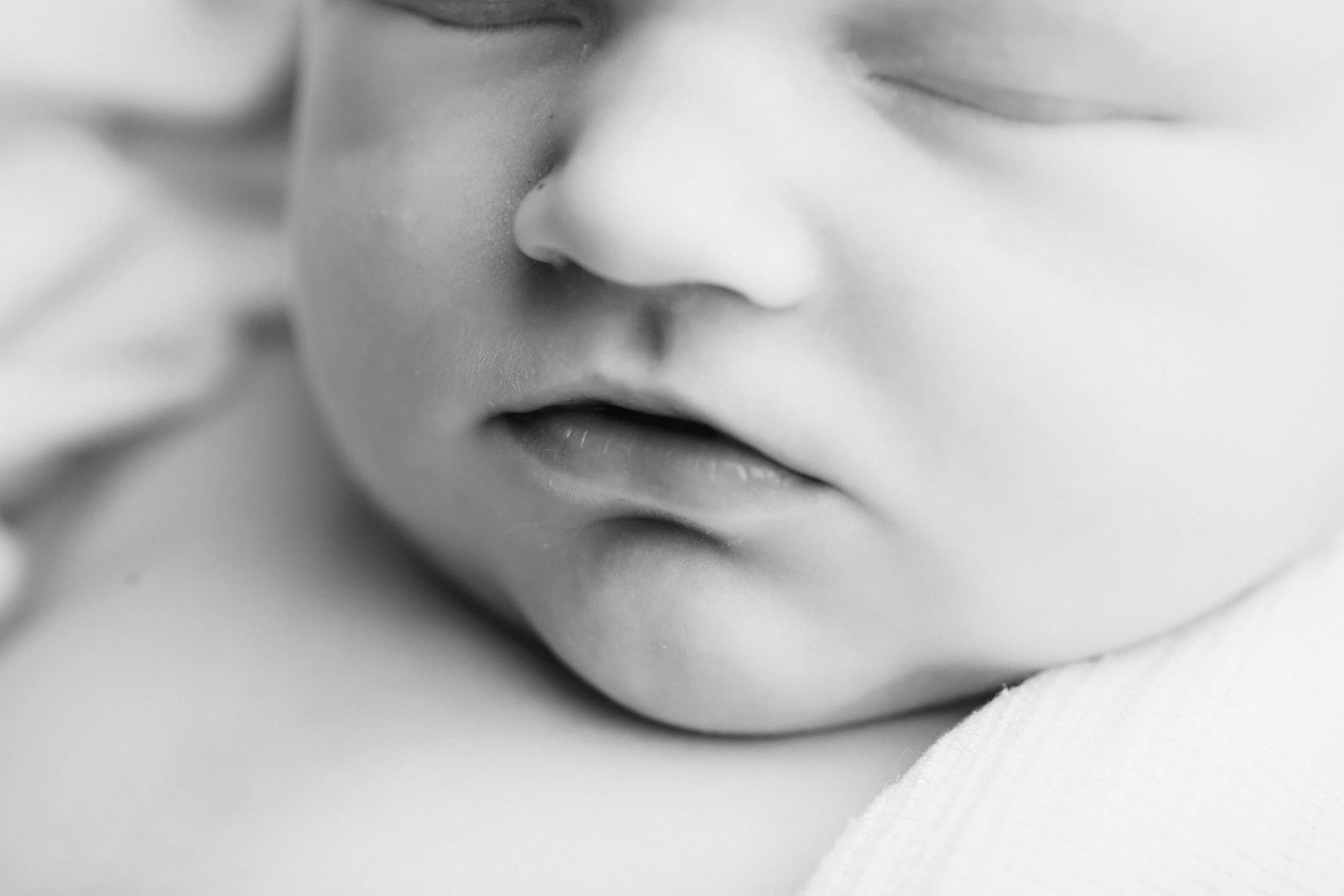 Photo Credit: Michelle C Photography