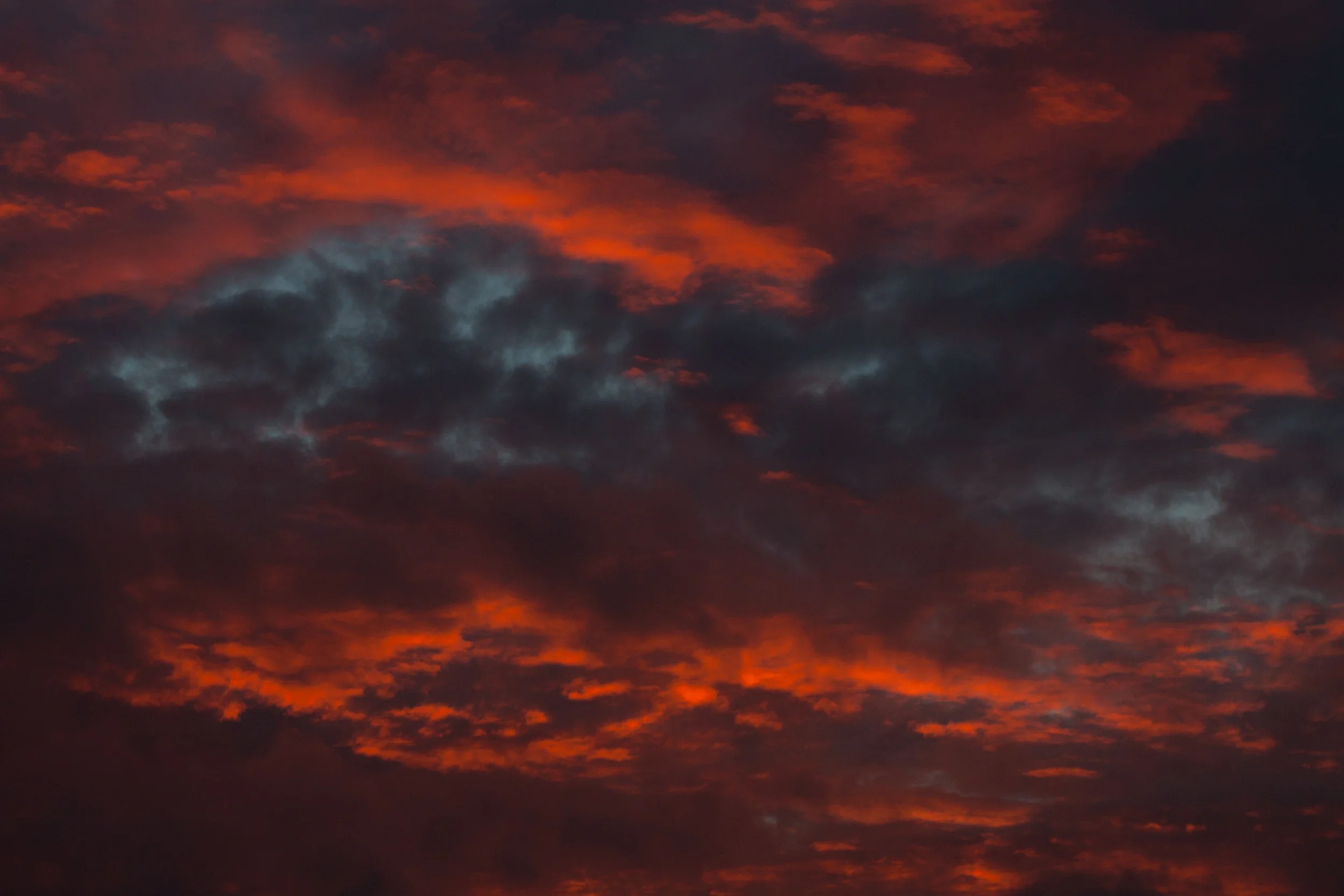 Photo Credit: Sofia Roblero, Unsplash.com