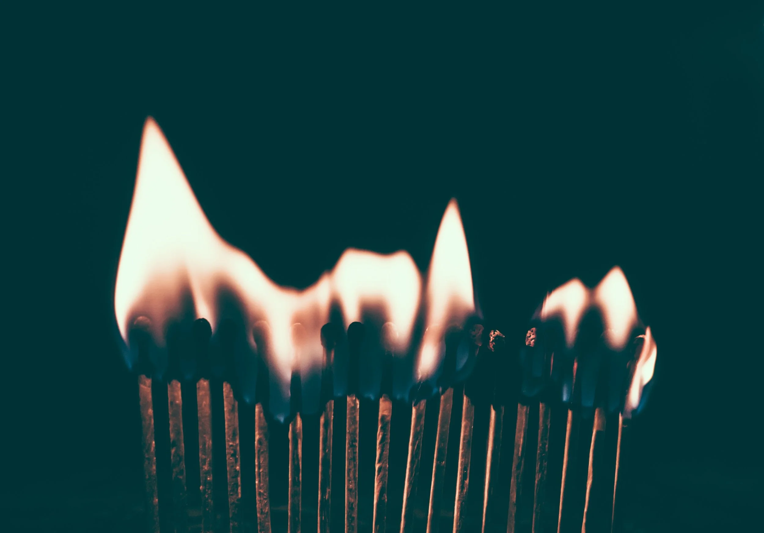 Photo Credit: Jamie Street, Unsplash.com