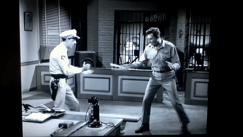 Andy Griffith Judo 1.gif
