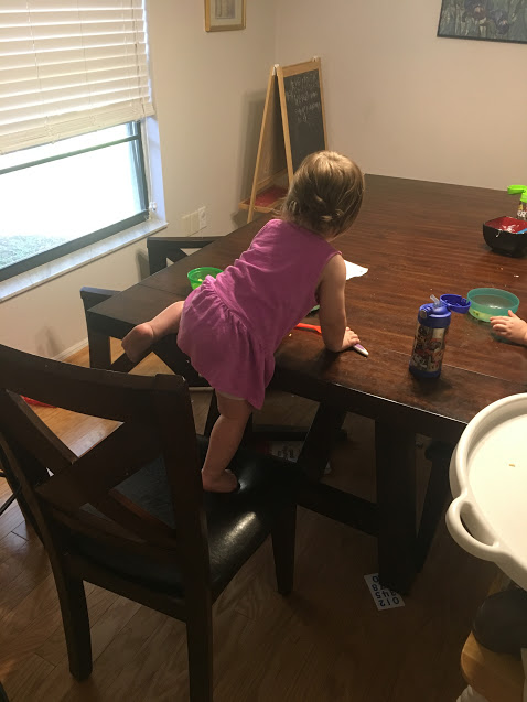 O climbing on table.JPG