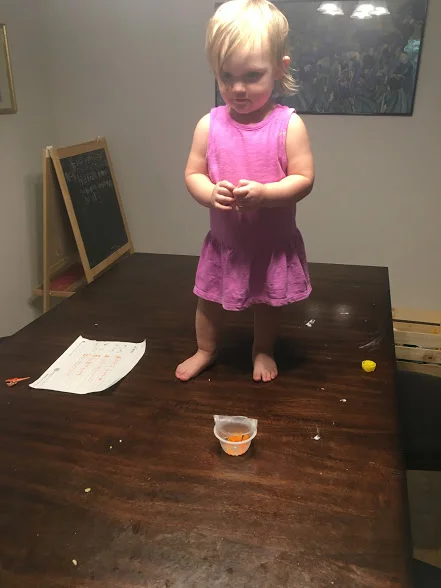 Family Dinner or Wild Bachelor Party?