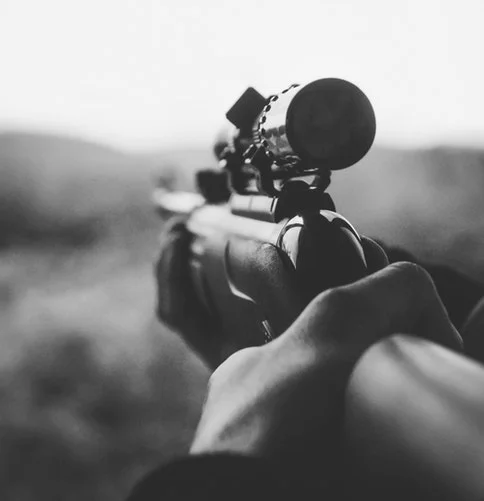 Gun stock image 2.jpg