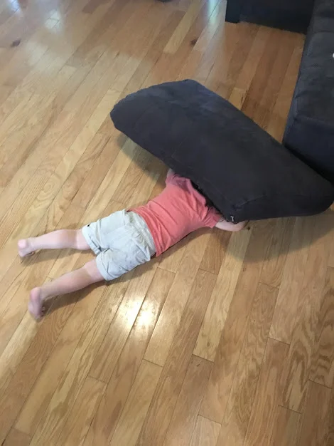 At Long Last, Hide-and-Seek Competency 